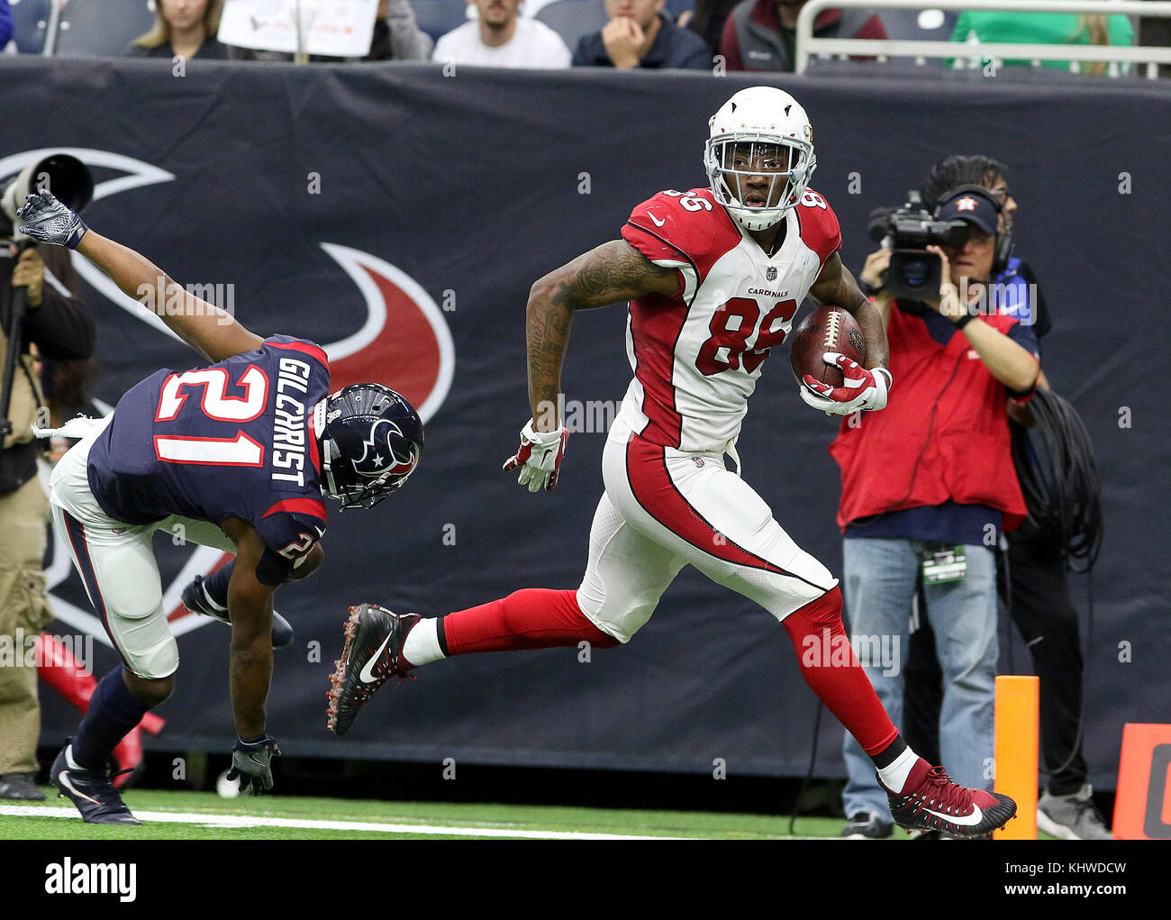 Seals stadium hires stock photography and images Alamy
