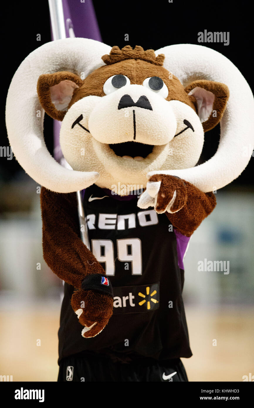 Reno, Nevada, USA. 19th Nov, 2017. Bruno the Bighorn before the NBA G-League Basketball game between the Reno Bighorns and the Long Island Nets at the Reno Events Center in Reno, Nevada. Credit: Jeff Mulvihill/ZUMA Wire/Alamy Live News Stock Photo