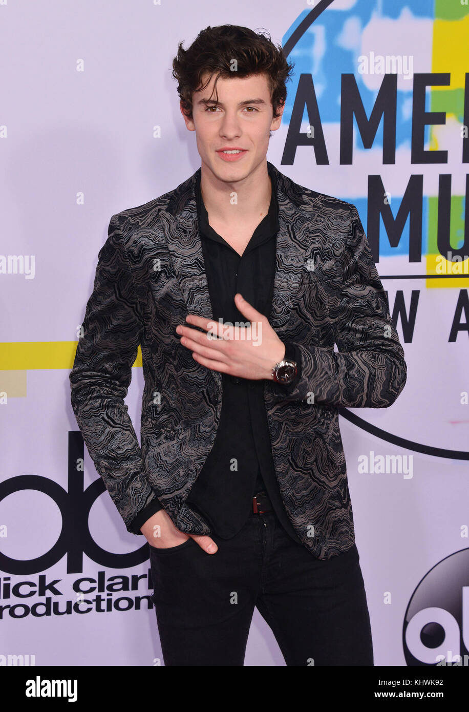Los Angeles, USA. 19th Nov, 2017. Shawn Mendes 290 arrives at the 2017 American Music Awards at Microsoft Theater on November 19, 2017 in Los Angeles, California Credit: Tsuni/USA/Alamy Live News Stock Photo