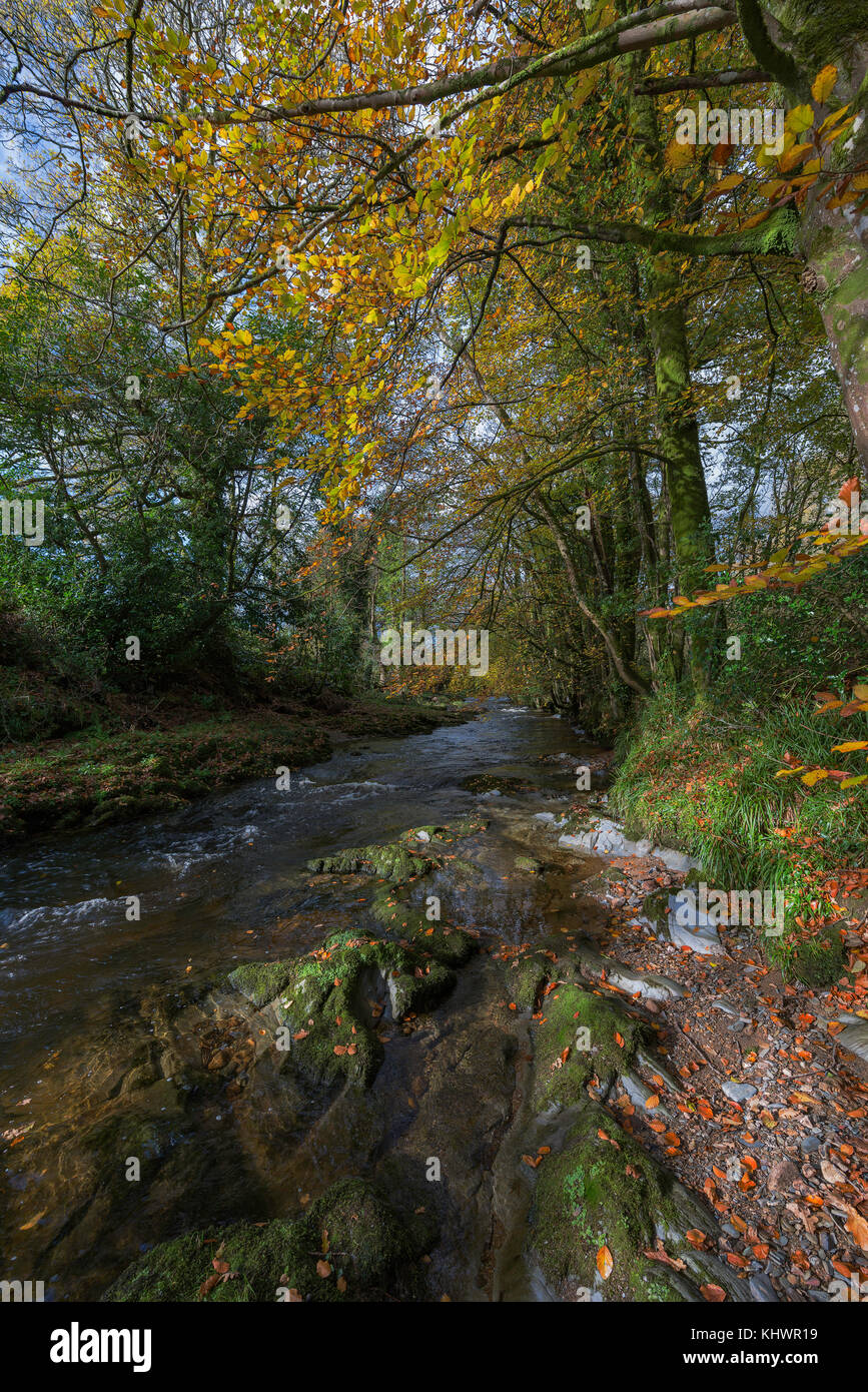 River Avon at Avonwick in South Devon,UK Stock Photo - Alamy