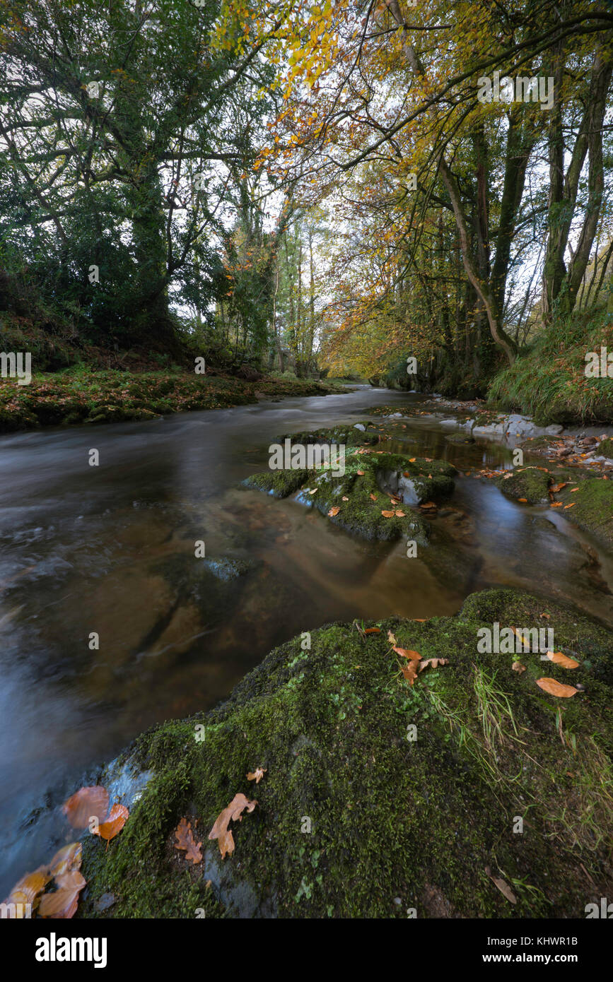 River Avon at Avonwick in South Devon,UK Stock Photo - Alamy