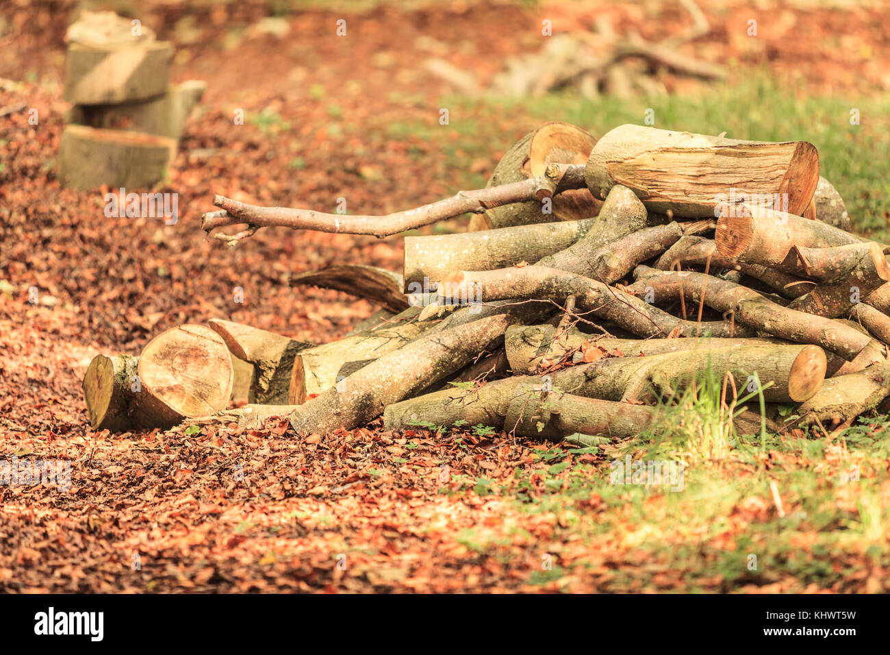 stack pile of chopped firewood wood at house Stock Photo - Alamy