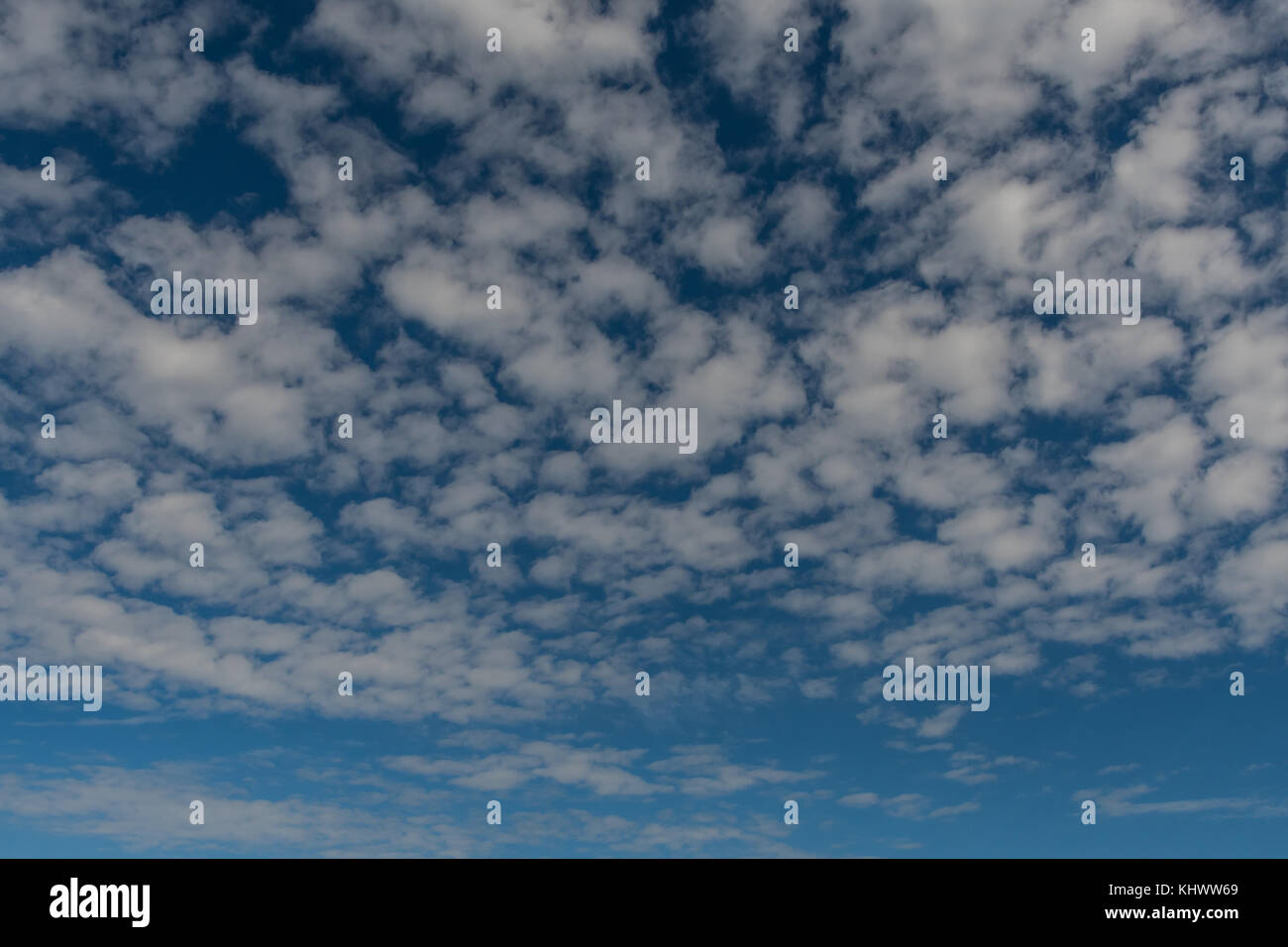 Puffy Field of Clouds on Blue Sky Background Image Stock Photo