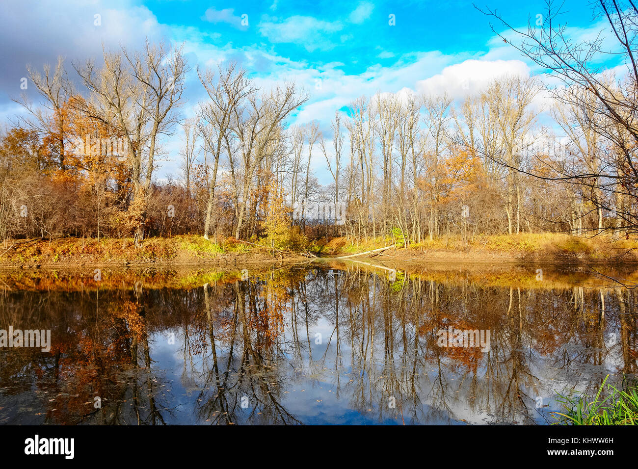 Forest lake in autumn forest Stock Photo - Alamy