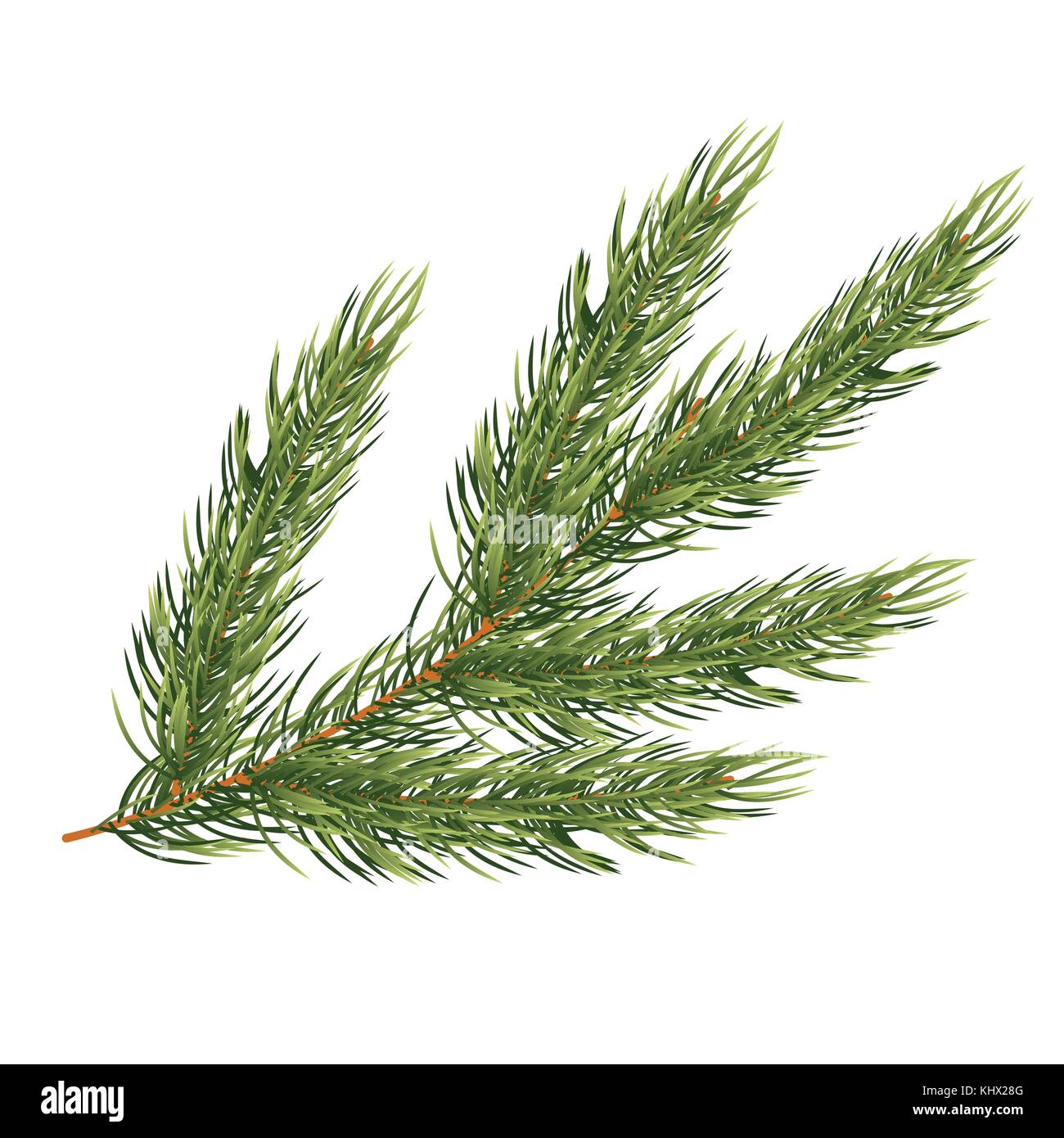 Fir Branch Isolated on White Background. Christmas Tree. Vector Illustration. Stock Vector