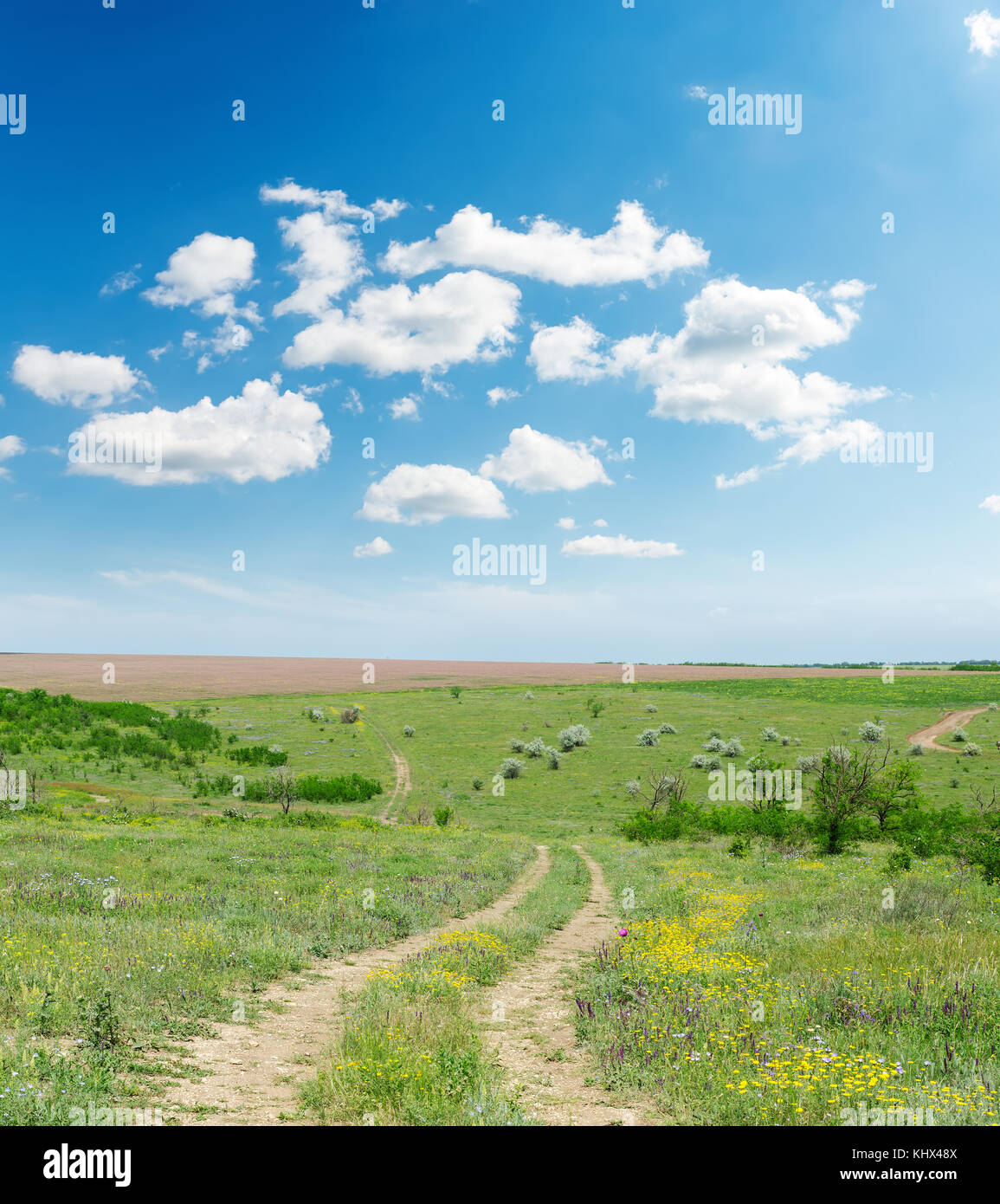 rural road in summer landscape and blue sky with clouds Stock Photo - Alamy