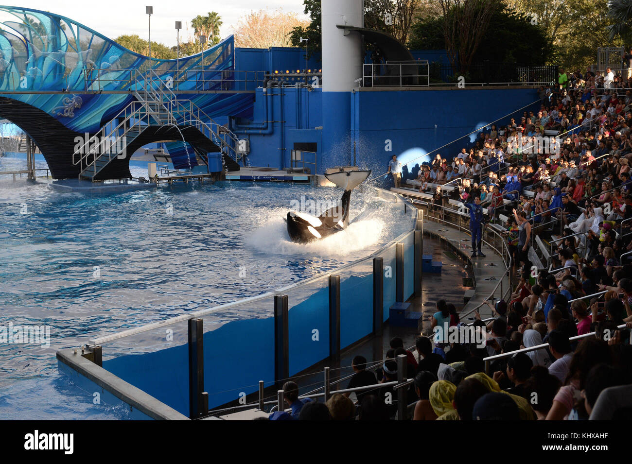 ORLANDO, FL - DECEMBER 20: Besieged theme park SeaWorld has launched its first major PR attack against Blackfish in an attempt to offset almost 12 months of damage caused by the chilling documentary, which chronicled the aquarium's 39-year treatment of killer whales in captivity.  Hit with cancellations from high-profile performers and school field trips, coupled with aggressive animal activist campaigns and a tarnished image, the Orlando-based marine park has placed full-page ads in eight of the country's largest newspapers, rationalizing their whale practices.  The 'Open Letter from SeaWorld Stock Photo