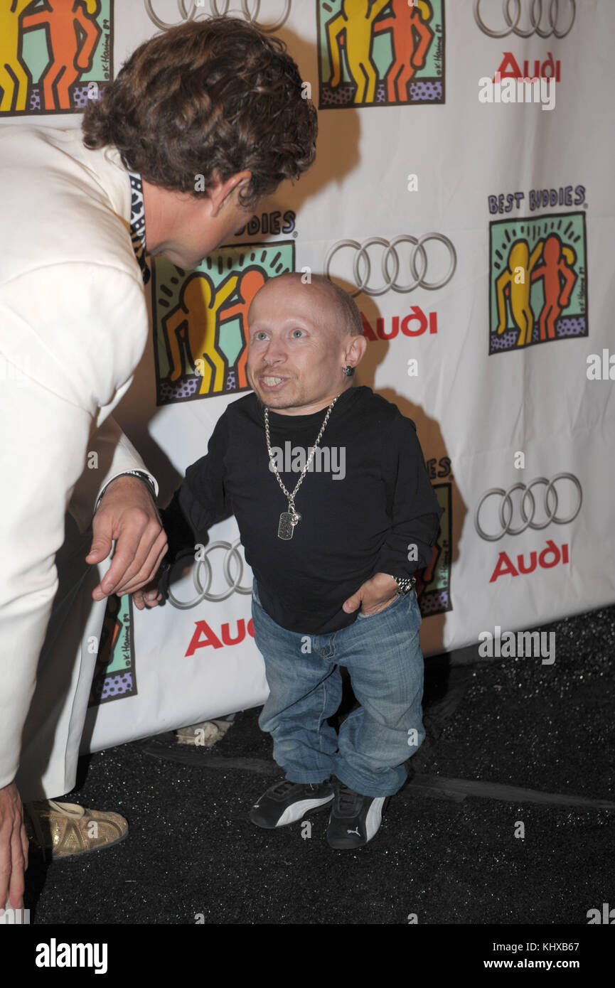 MIAMI BEACH, FL - NOVEMBER 21: Actor Verne Troyerarrives at the Best Buddies 12th Annual Miami Beach Gala. On November 21, 2008 in Miami Beach, Florida   People:  Verne Troyer, Anthony Shriver Stock Photo