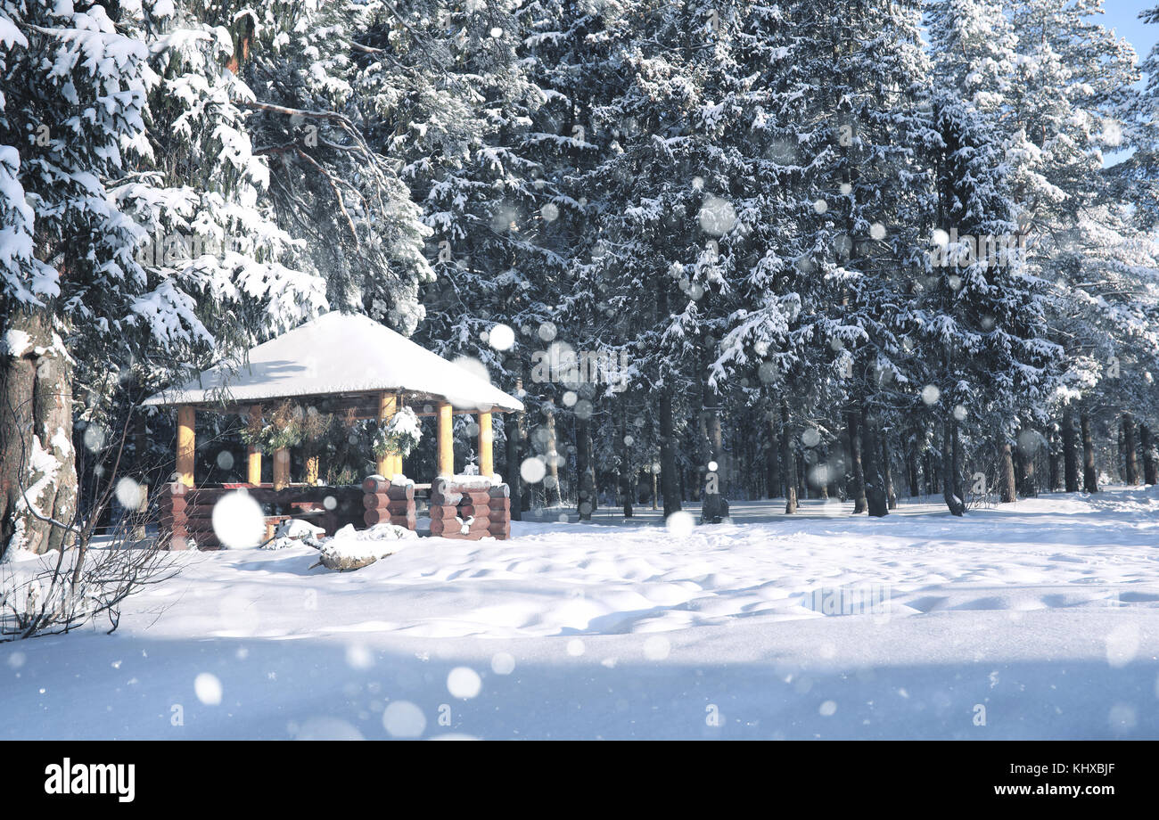 wooden gazebo in forest in the winter snow blizzard Stock Photo - Alamy