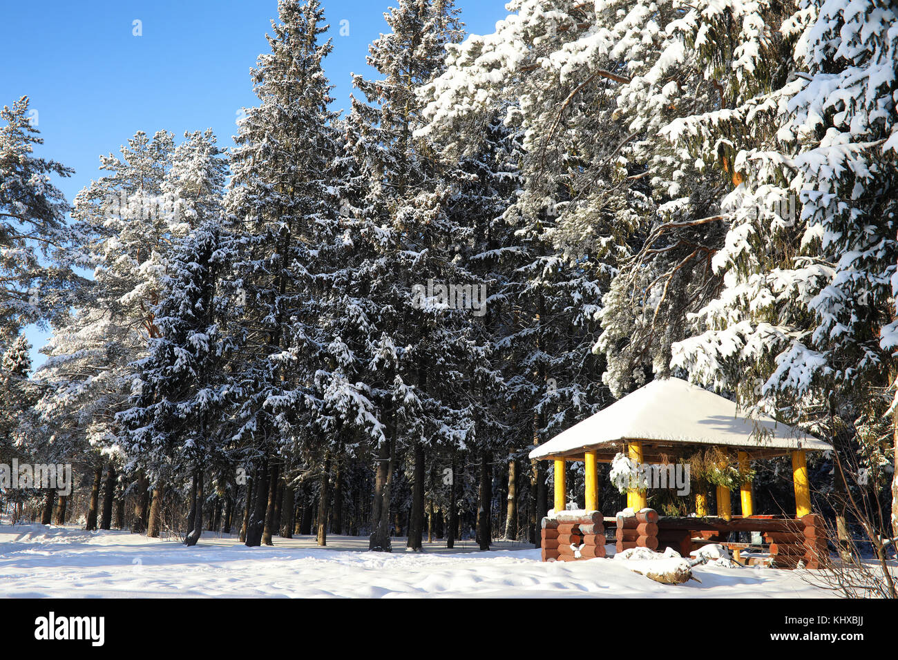 wooden gazebo in forest in winter sunny day Stock Photo - Alamy