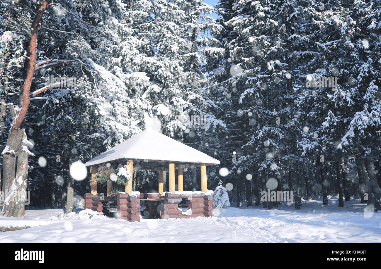 wooden gazebo in forest in the winter snow blizzard Stock Photo - Alamy