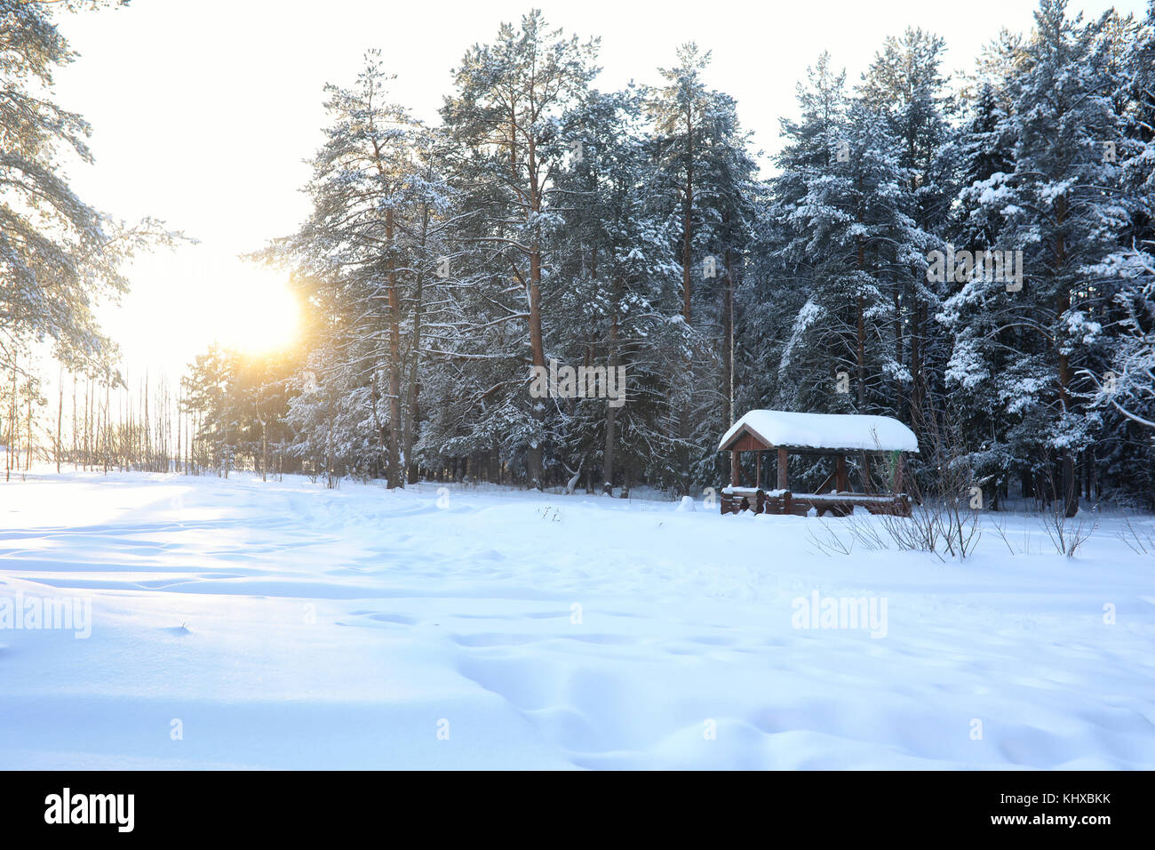 wooden gazebo in forest in winter sunny day Stock Photo - Alamy
