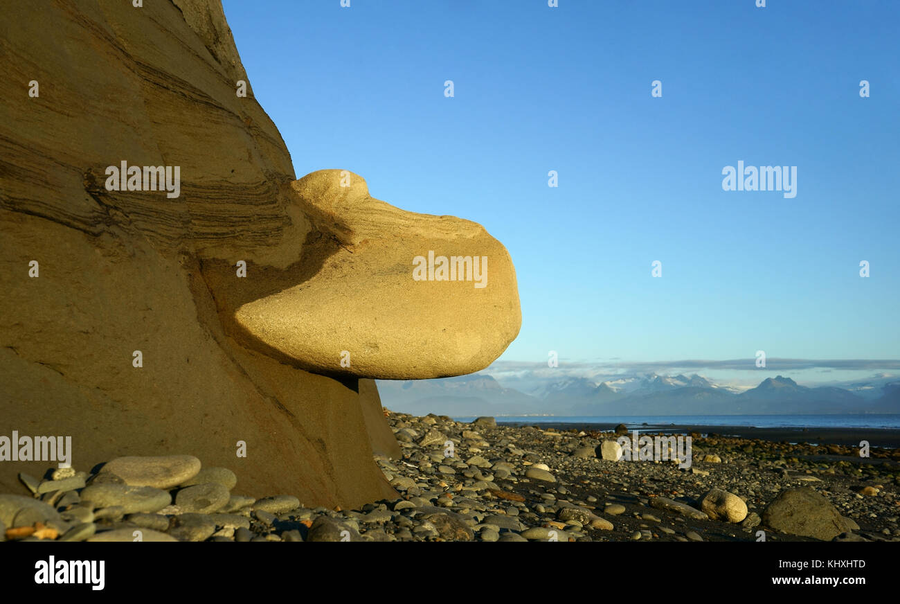 Eroding clay stone cliff with boulder sticking out, Kachemak Bay, Kenai Peninsula, Homer, Alaskawave Stock Photo