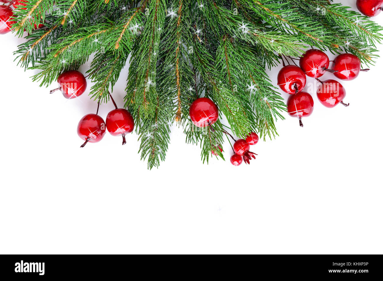 Green spruce branches decorated with berries on a white background. New ...