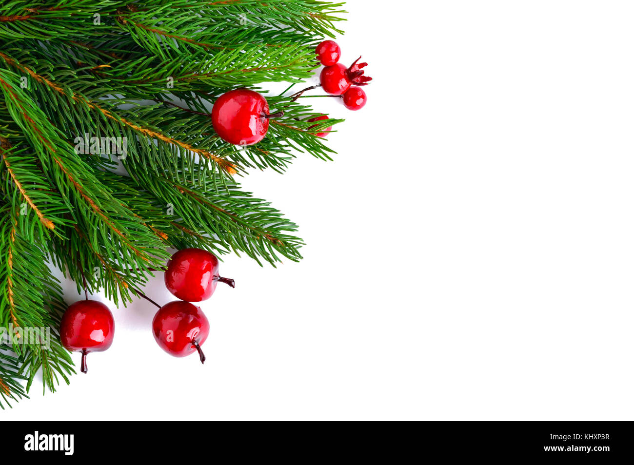 Green spruce branches decorated with berries on a white background. New ...