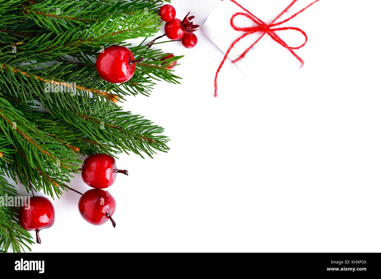 Green spruce branches decorated with berries on a white background. New ...