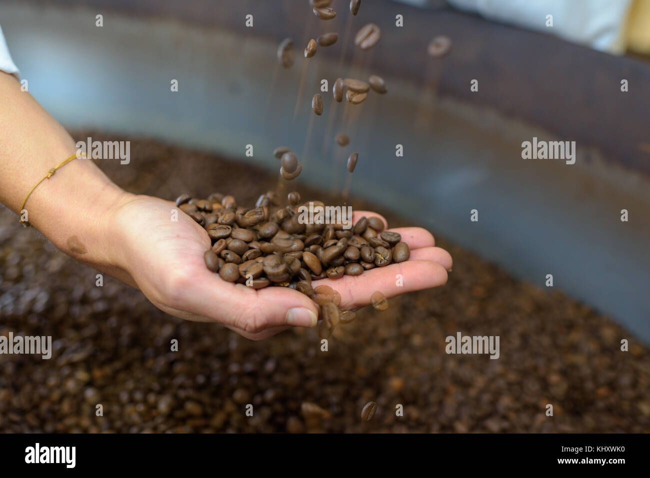 organic coffee beans Stock Photo Alamy