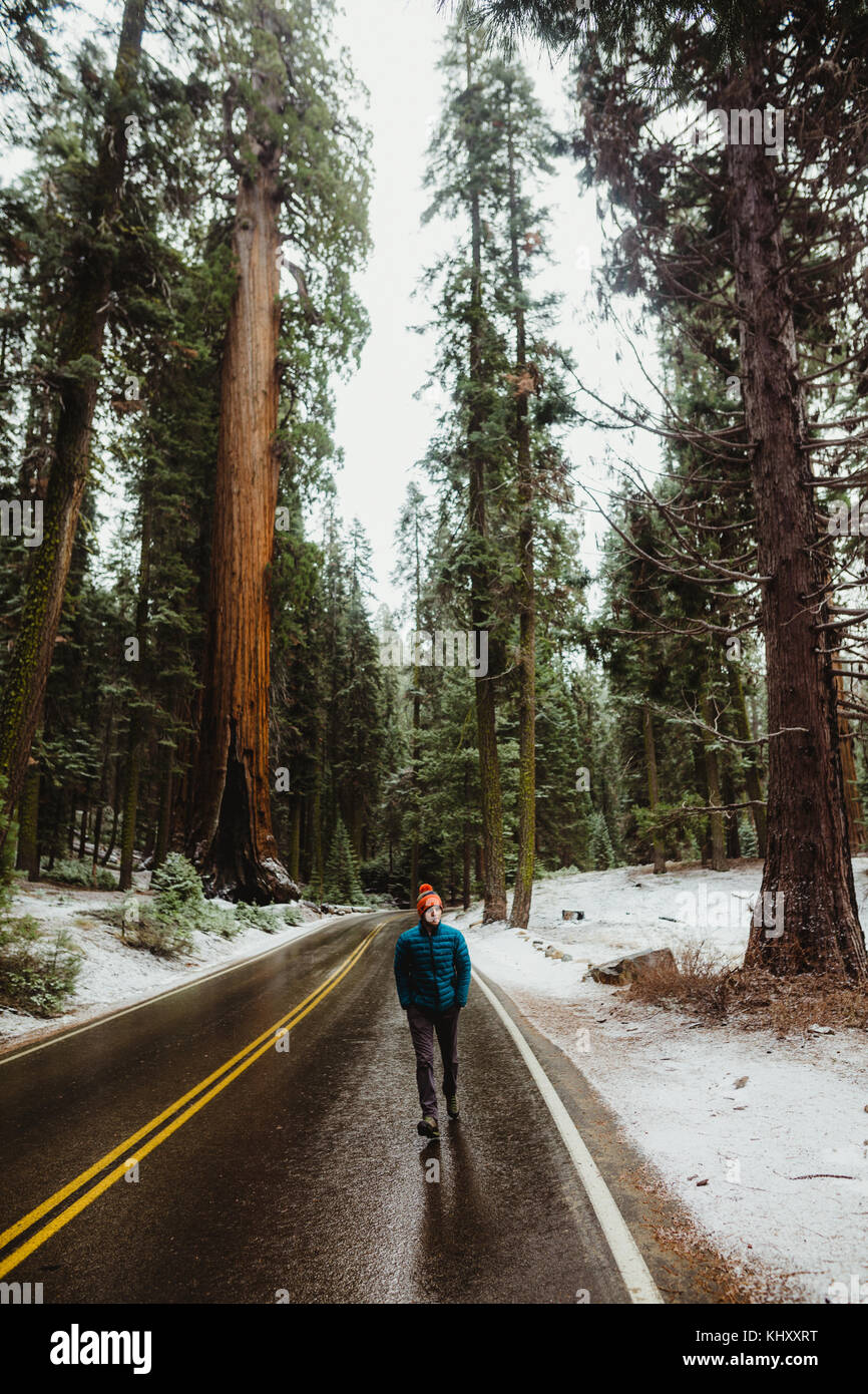 Young male hiker hiking along rural road in snowy Sequoia National Park, California, USA Stock Photo