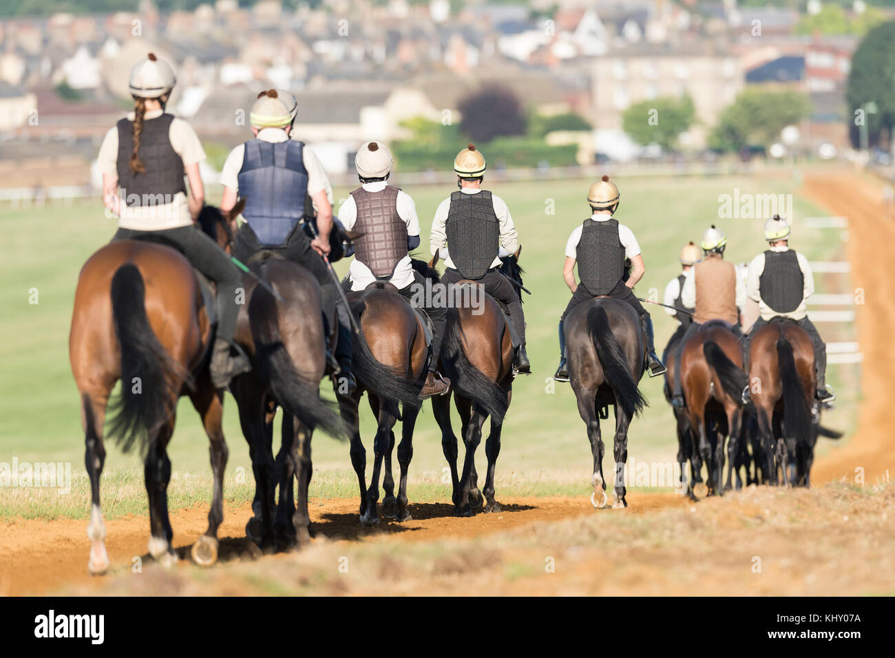 Early morning horse riders in the sunshine at Newmarket Gallops. Stock Photo