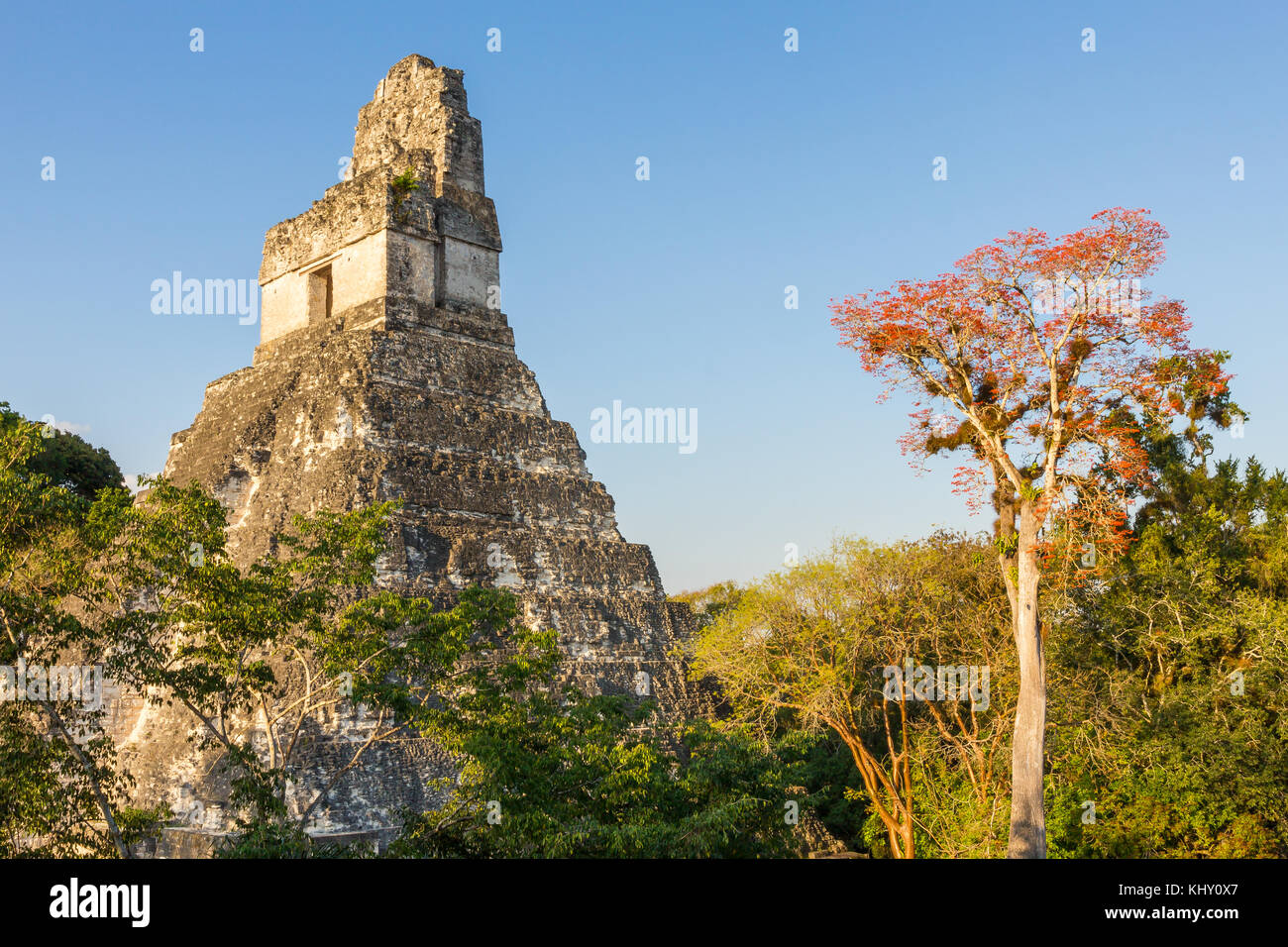 Temple I (Gran Jaguar) | Tikal | Guatemala Stock Photo