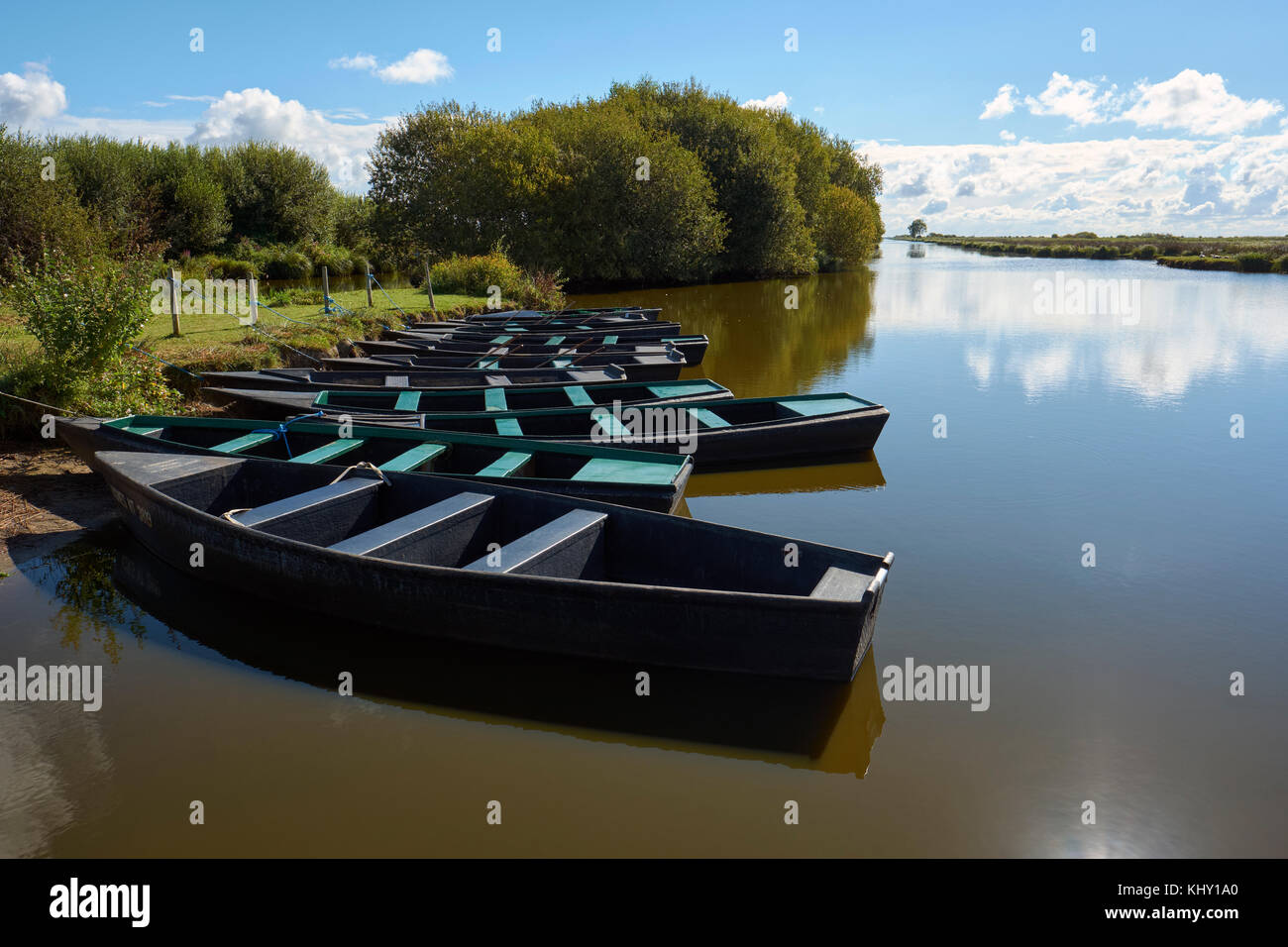 Chaland flat bottomed boats moored in the marshland Briere National