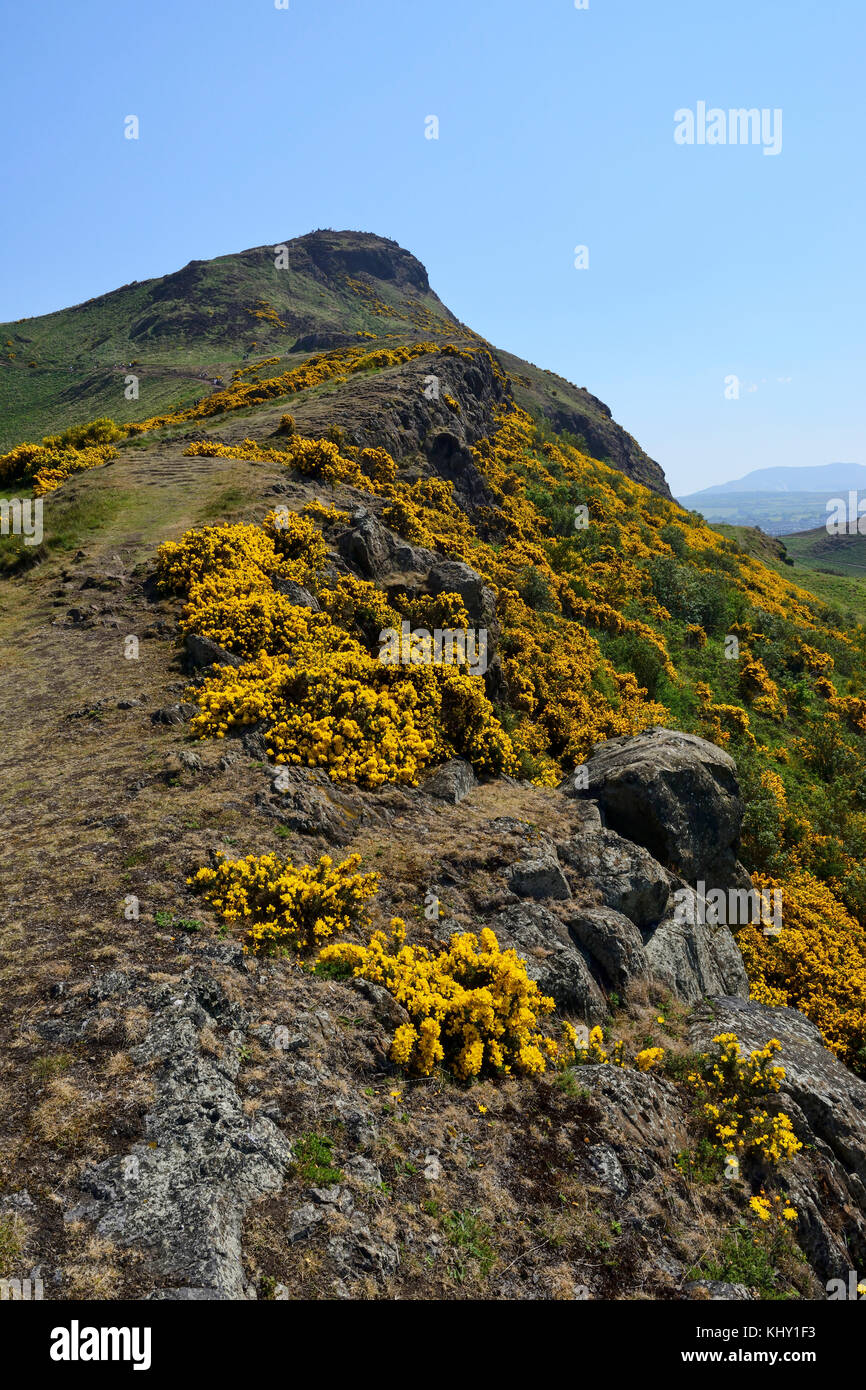Ascent up Whinny Hill to Arthur's Seat in Holyrood Park, Edinburgh, Scotland Stock Photo