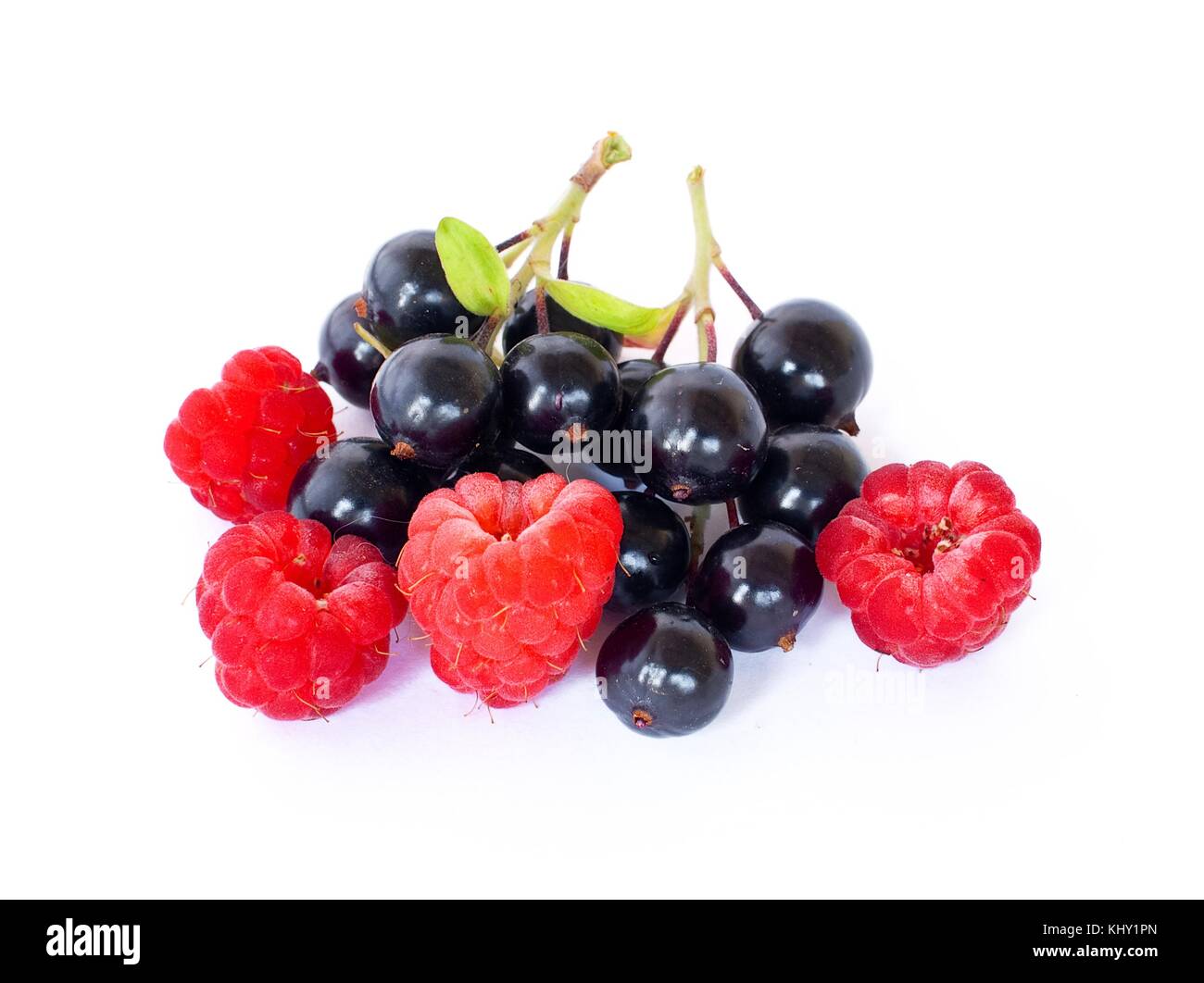 Black currant and raspberry on white background. Stock Photo