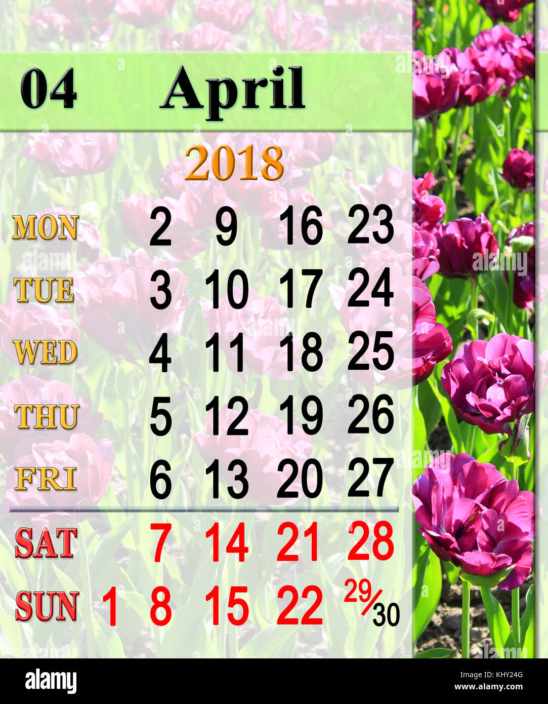 calendar-for-april-2018-with-flower-bed-of-lilac-tulips-stock-photo-alamy