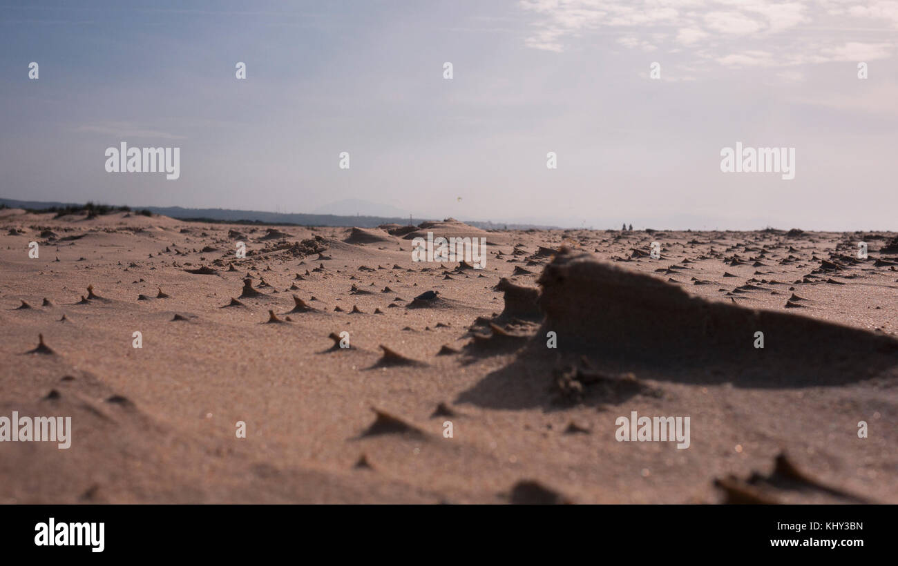 Sand dunes on the southern shore Spain.Tarif beach. Stock Photo