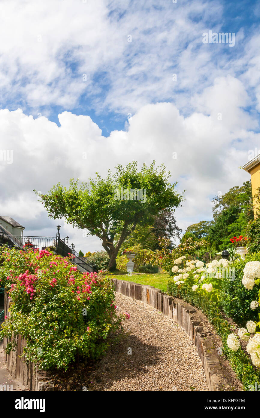 Winding path leading to a large bonsai tree with multi trunks crossed again a cloudy blue sky in a lush garden with flowers and bushes Stock Photo