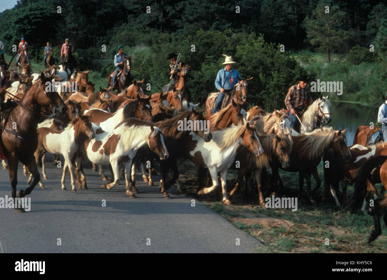 American cowboys on horses hi-res stock photography and images - Alamy