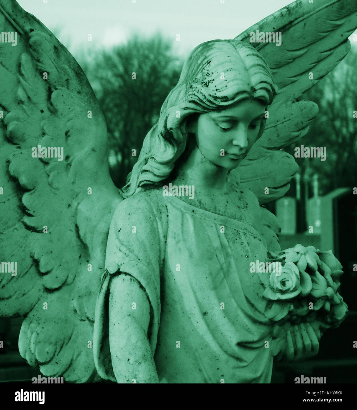 Some day, i'll bring you flowers, frozen flowers of death Stock Photo