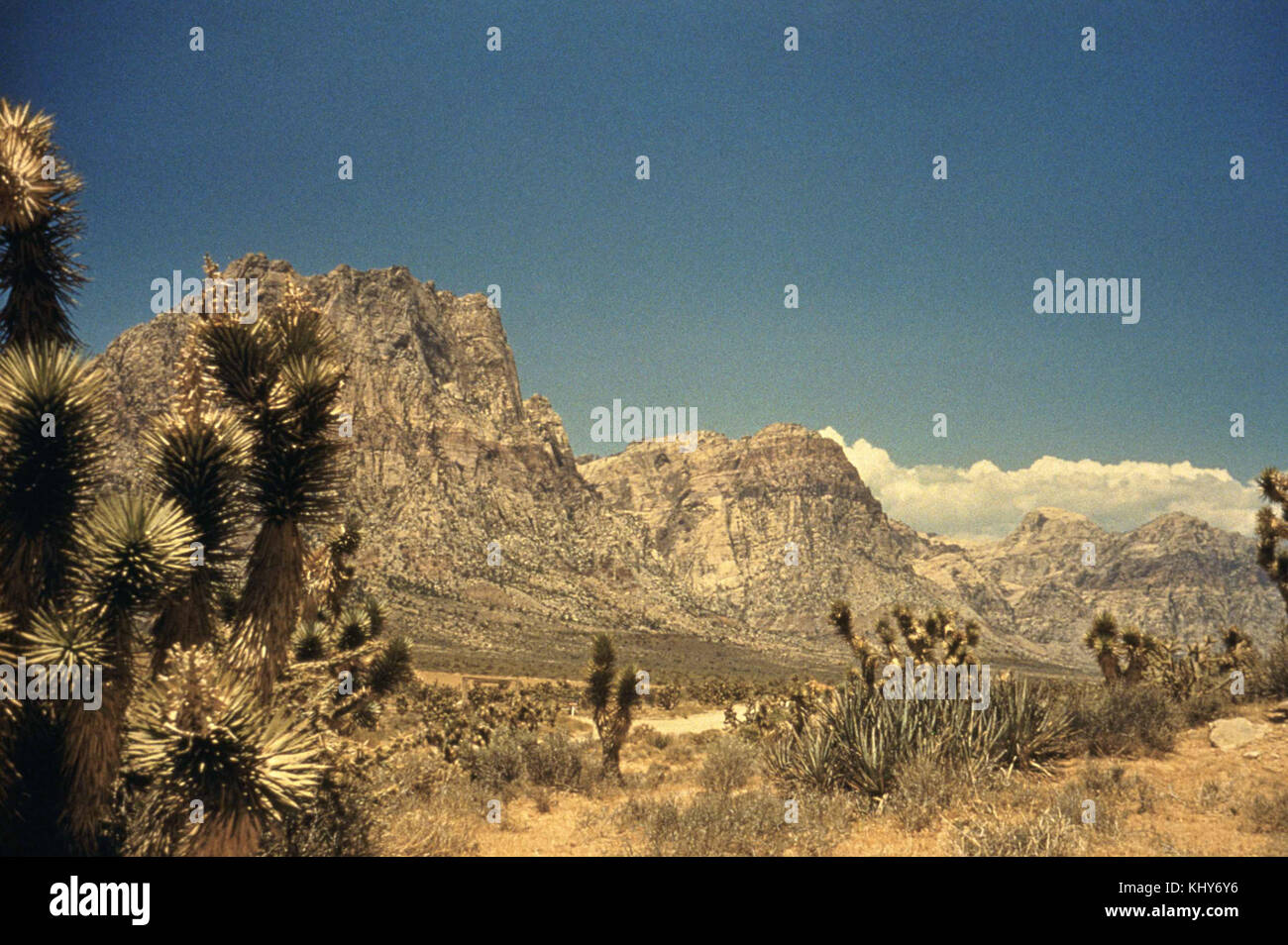 Scenic desert panorama features hi-res stock photography and images - Alamy