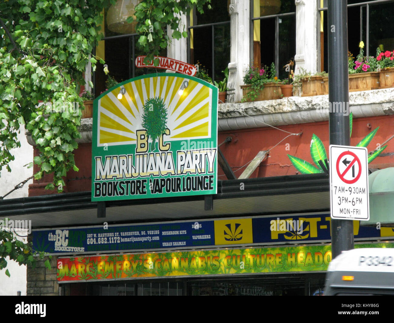 cannabis grow bible barnes noble cannabis grow bible barnes noble