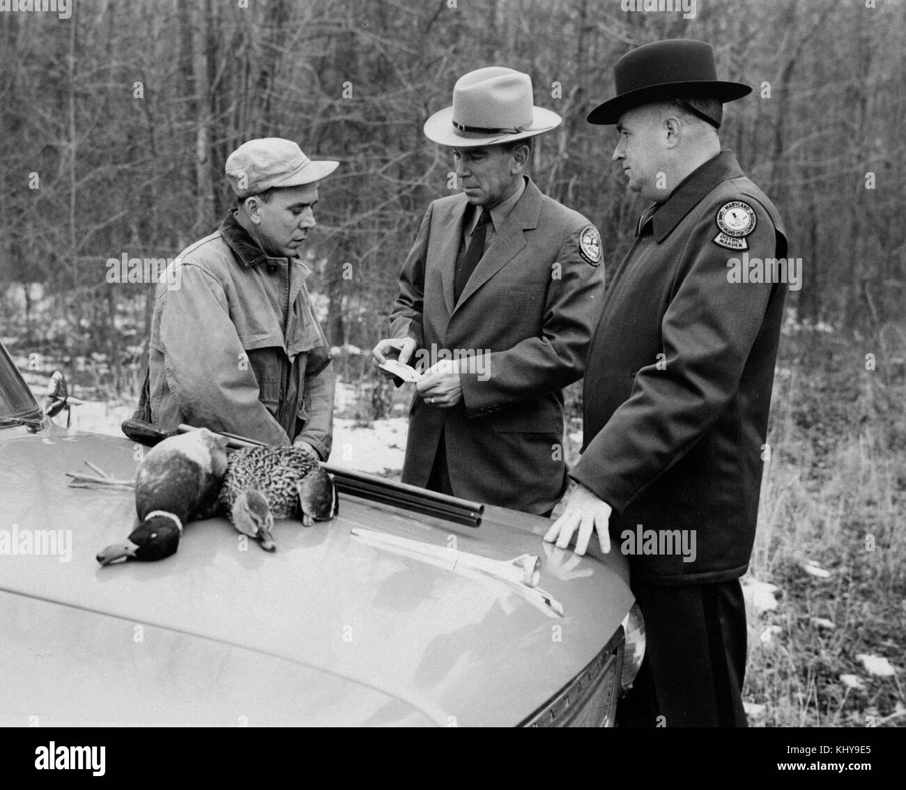 Enforcement of waterfowl hunting regulations history hunting vintage