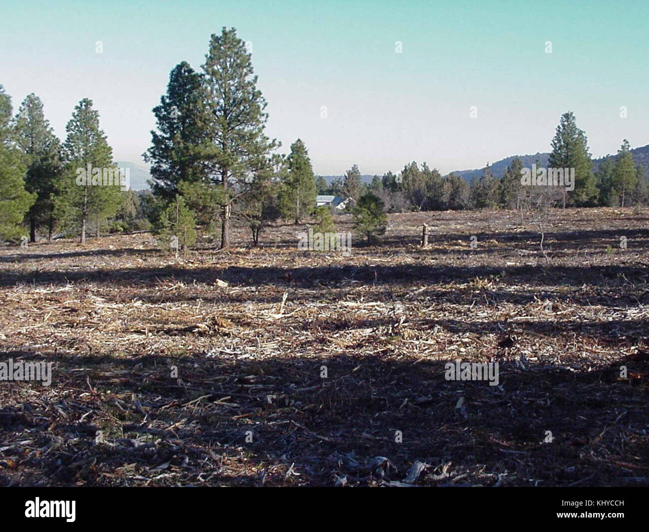 Fuels reduction hires stock photography and images Alamy