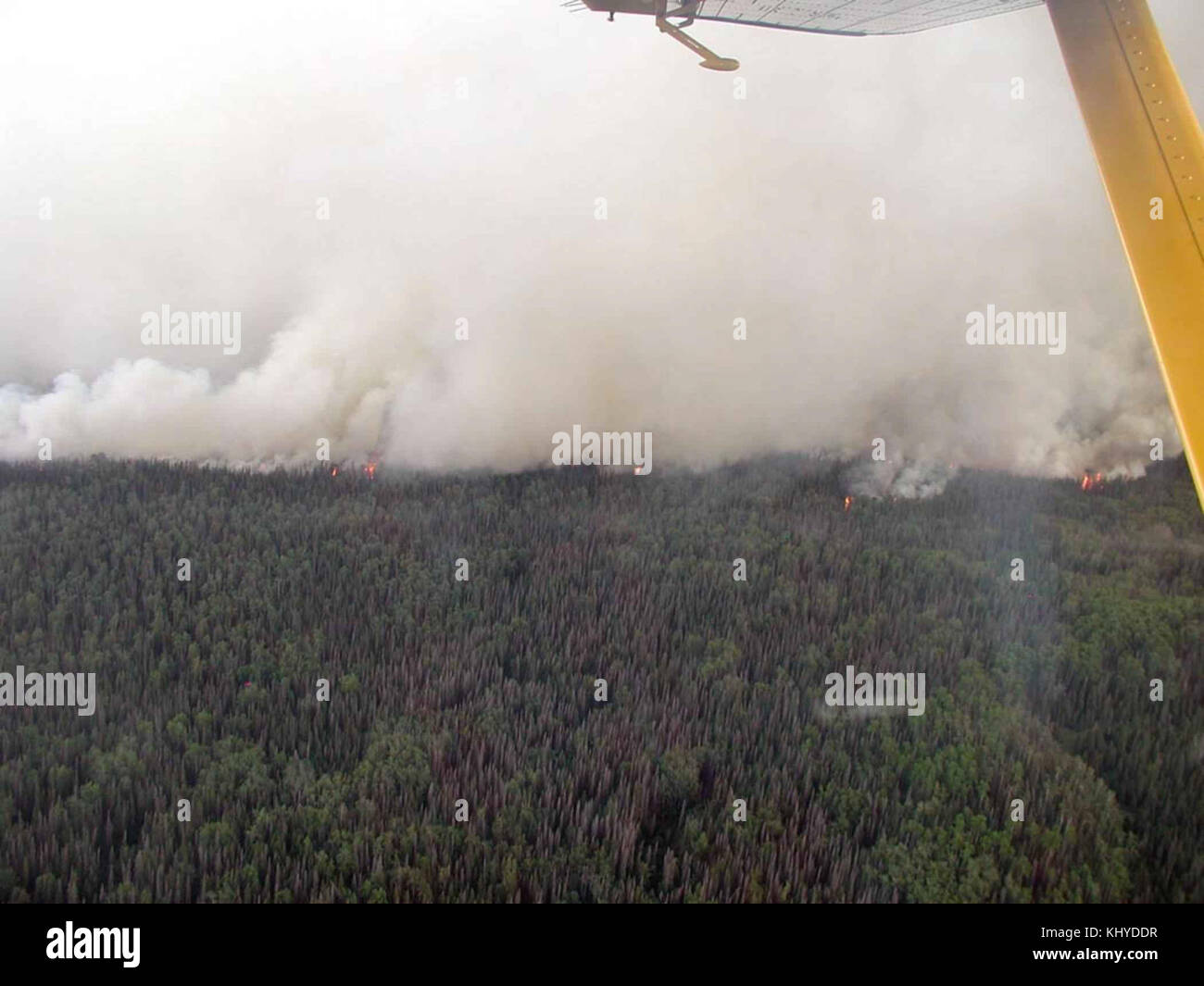 Fires in forest Stock Photo - Alamy
