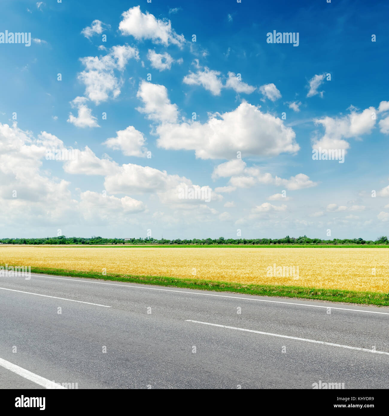 asphalt road along golden field under blue sky with clouds Stock Photo ...