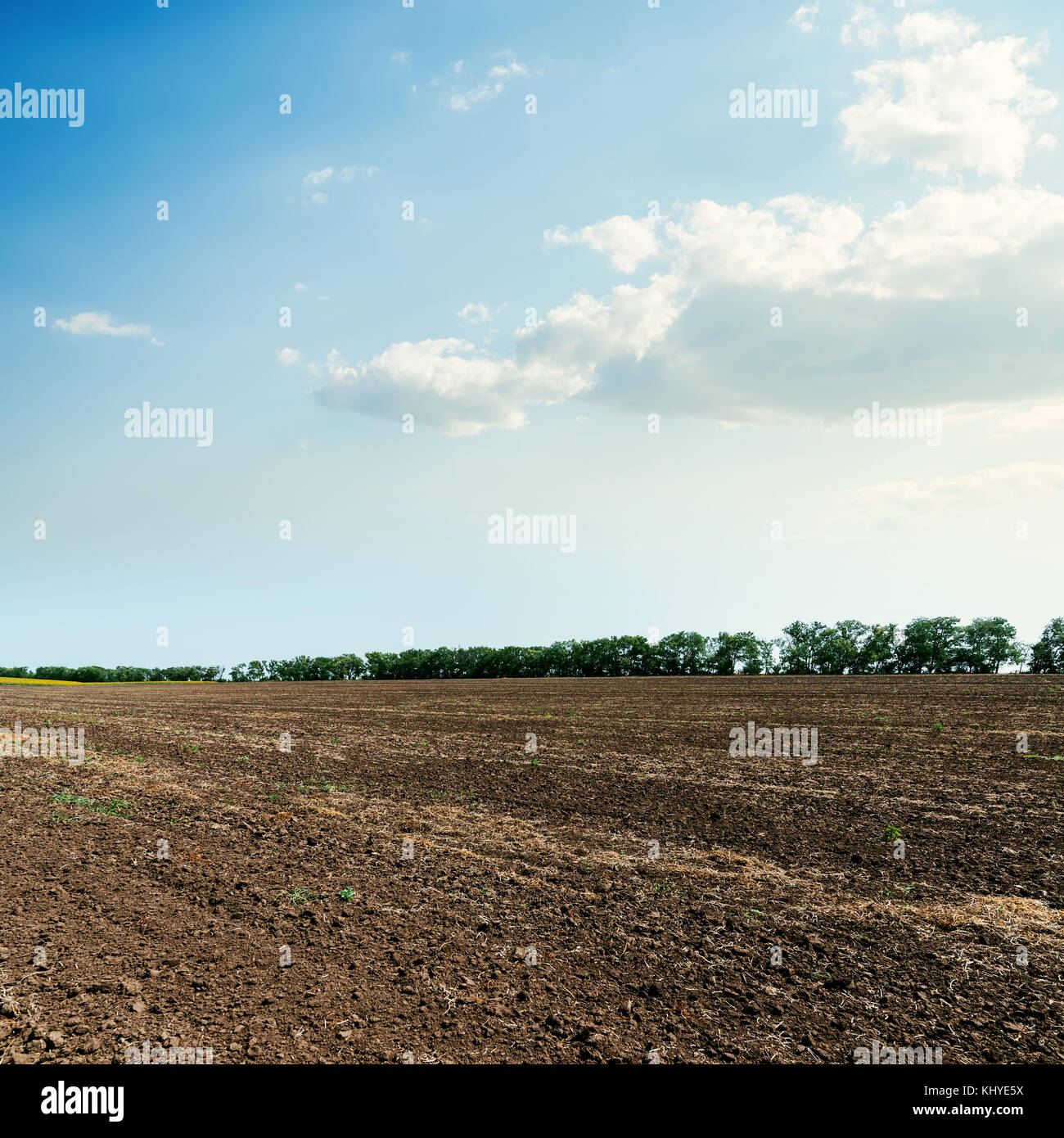 black agricultural field and blue sky with clouds Stock Photo - Alamy