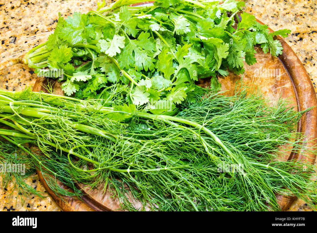 Dill and coriander, cilantro on chopping board Stock Photo Alamy