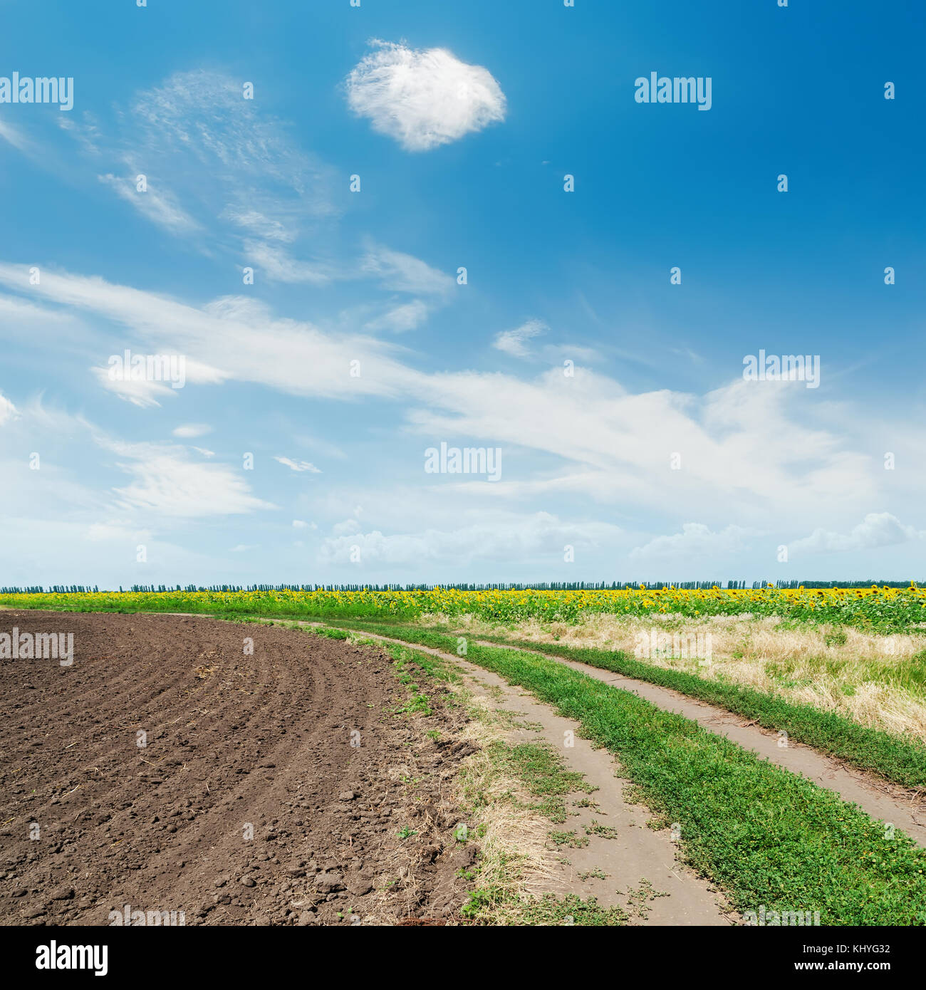 rural road in agricultural field and clouds in blue sky Stock Photo - Alamy