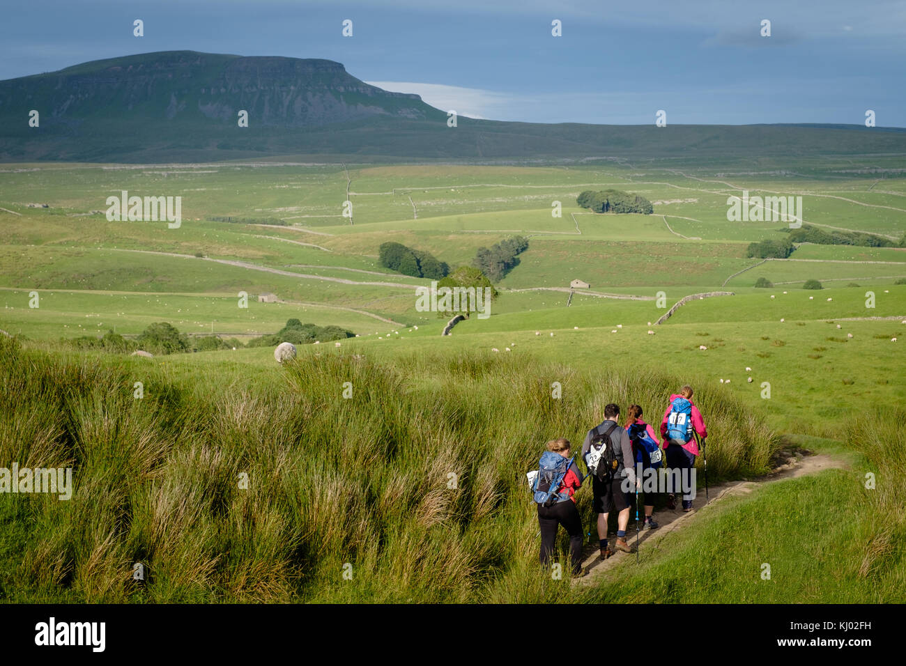 Walkers on Yorkshire Three Peaks walk Stock Photo Alamy