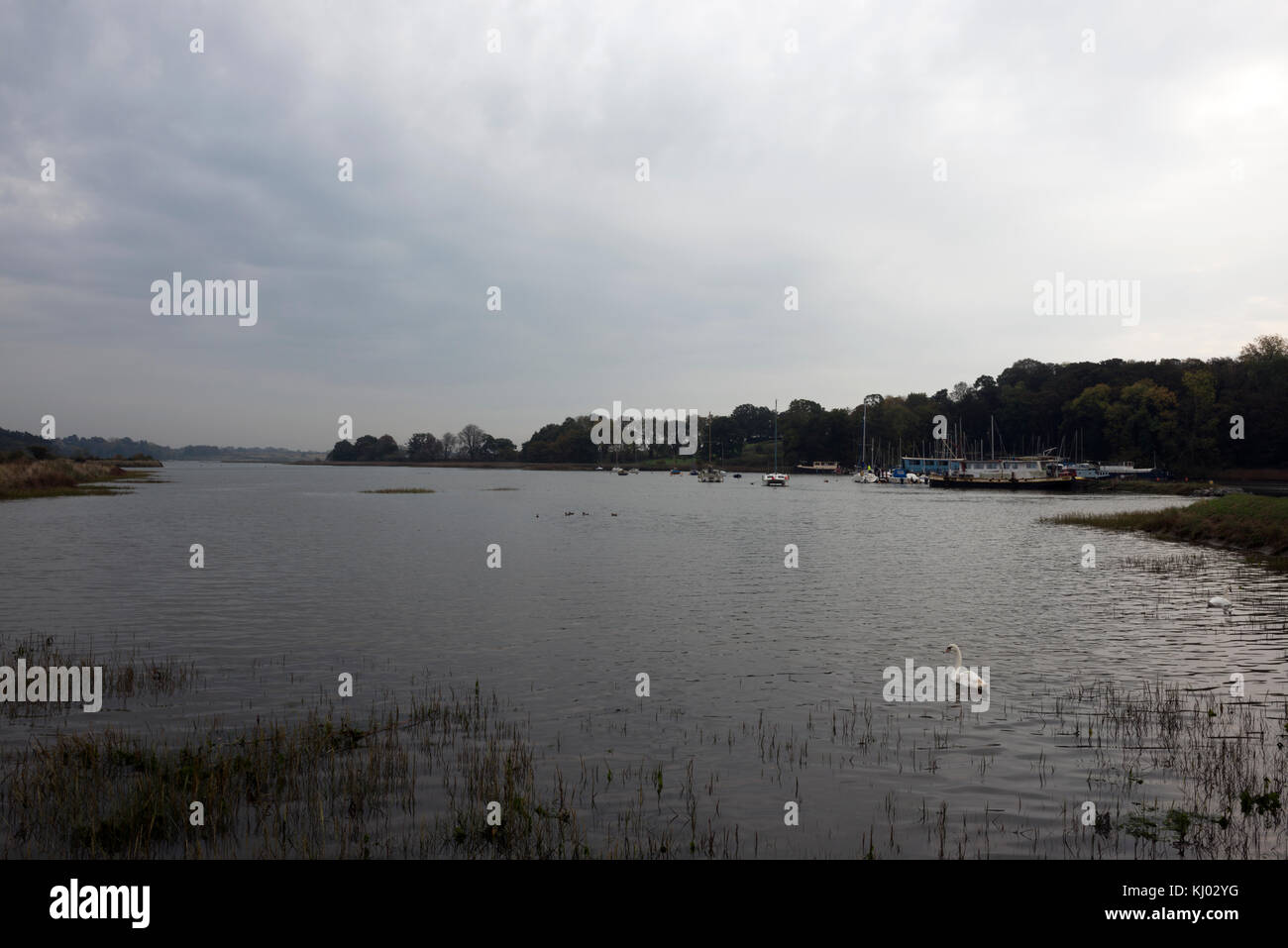 Martlesham creek, Suffolk, England Stock Photo Alamy