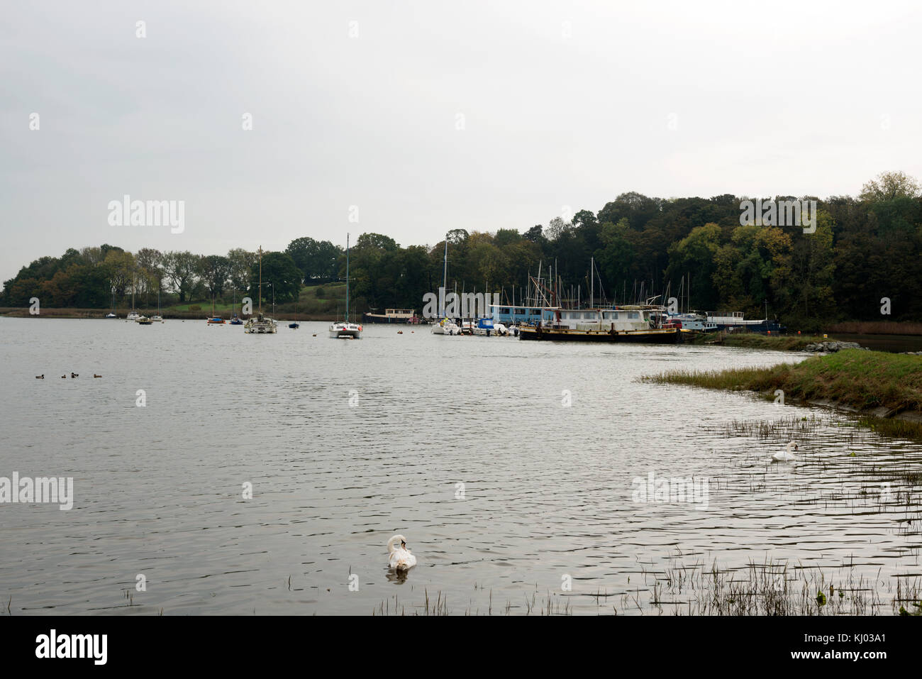 Martlesham creek, Suffolk, England Stock Photo Alamy