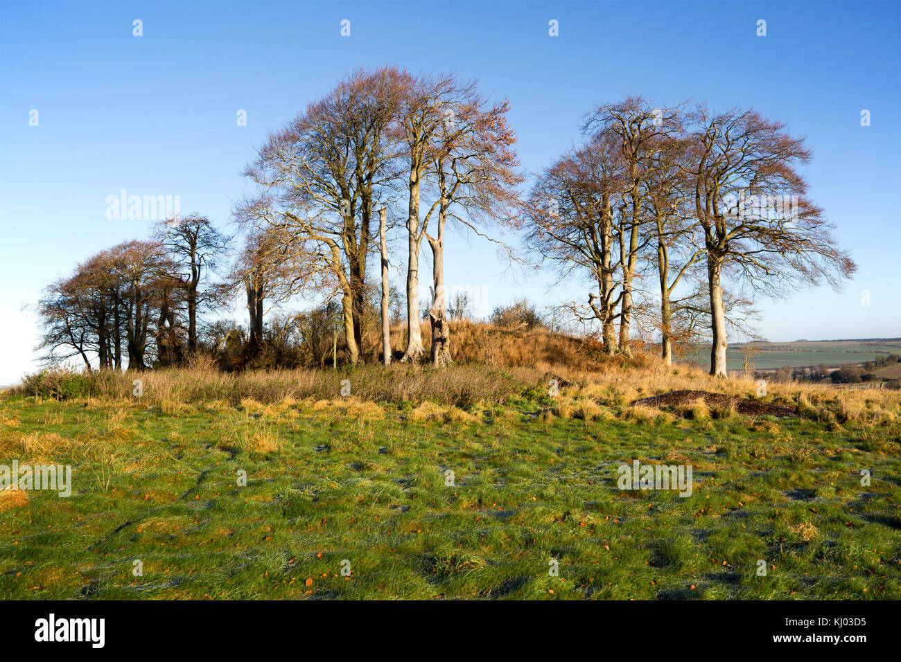 Neolithic long barrow in chalk downland countryside near East Kennet, Wiltshire, England, UK Stock Photo