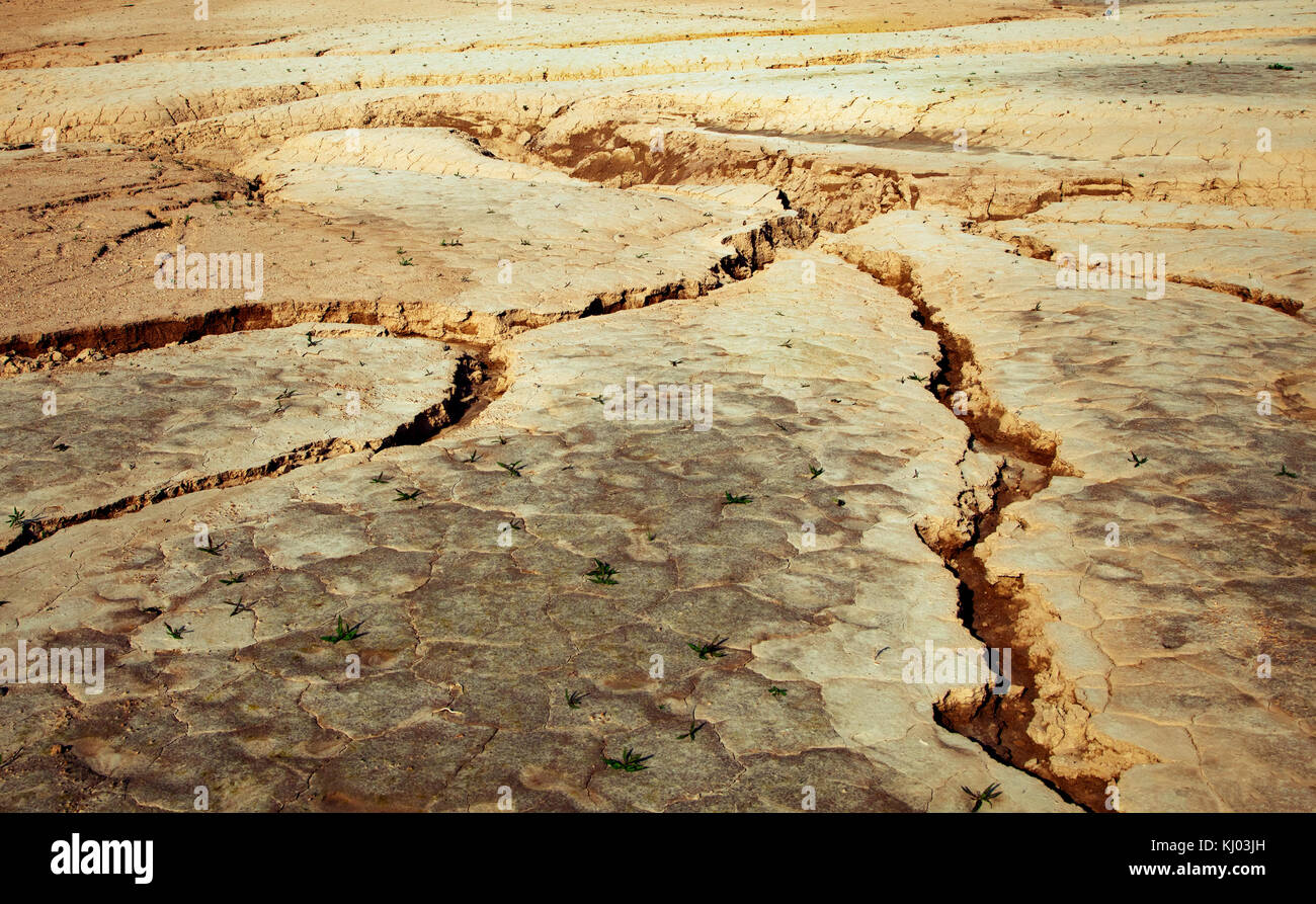 Cracked earth close-up Stock Photo