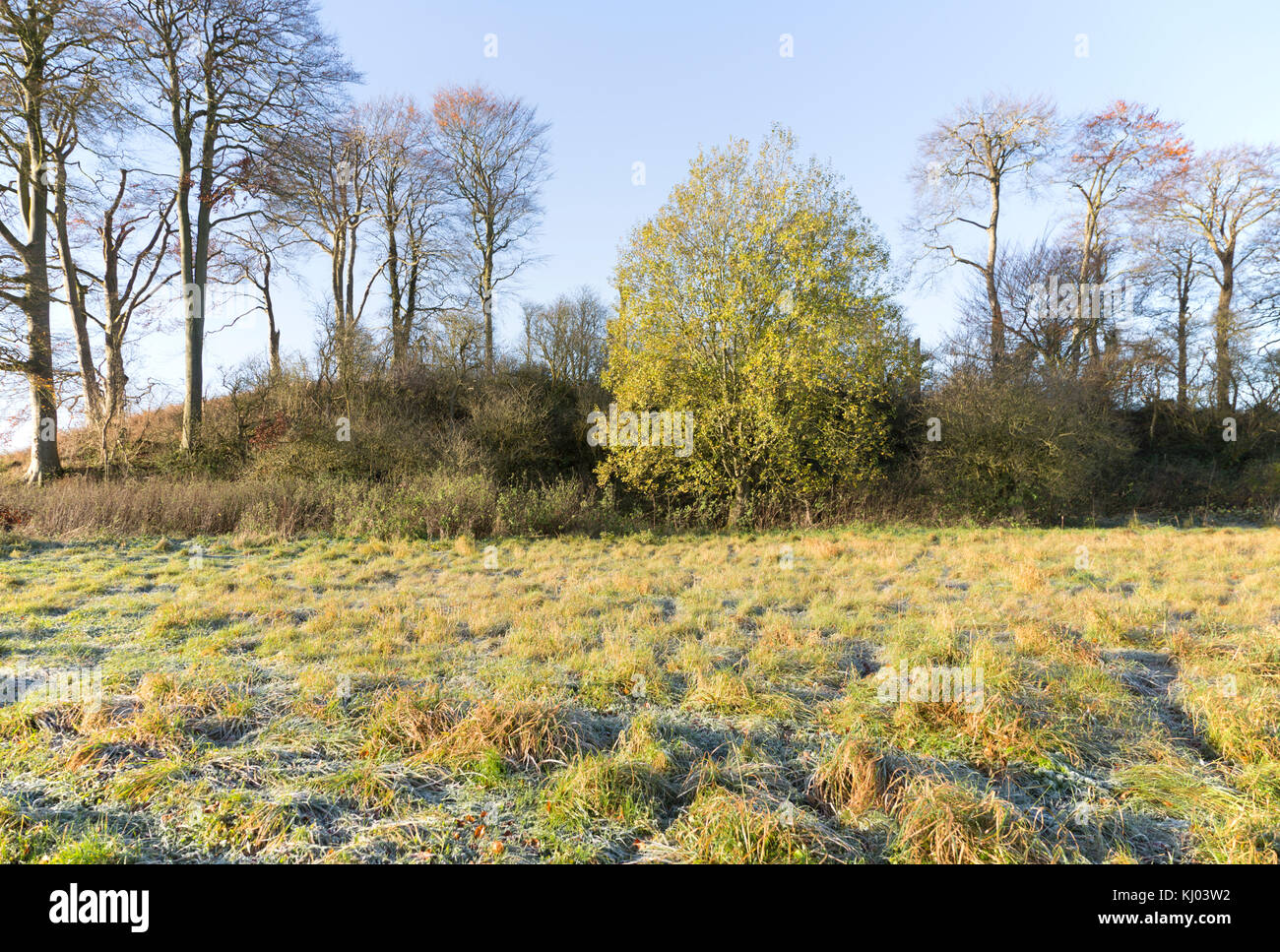 Neolithic long barrow in chalk downland countryside near East Kennet, Wiltshire, England, UK Stock Photo