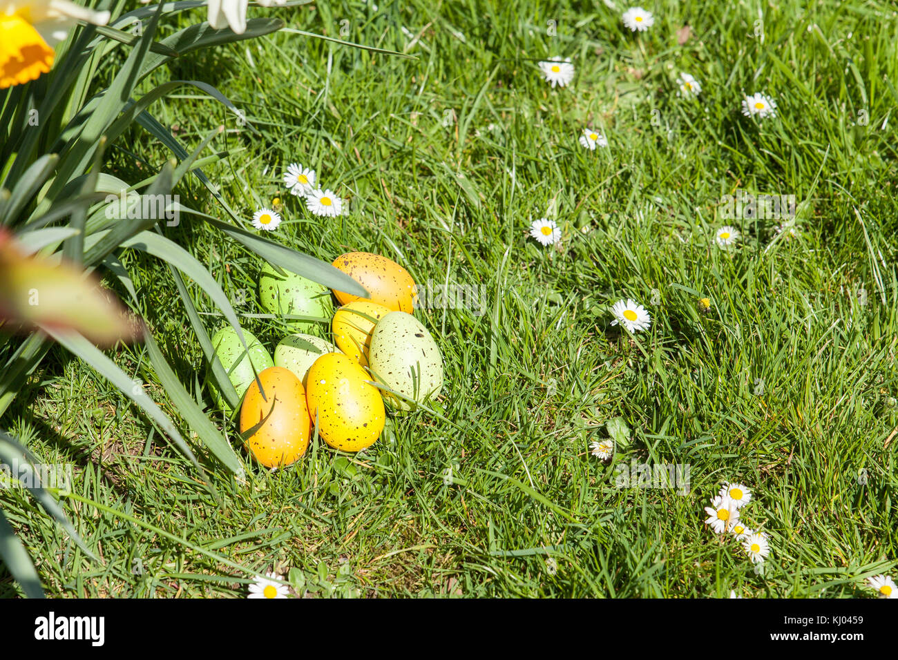 colored Easter eggs hidden in flowers and grass Stock Photo - Alamy