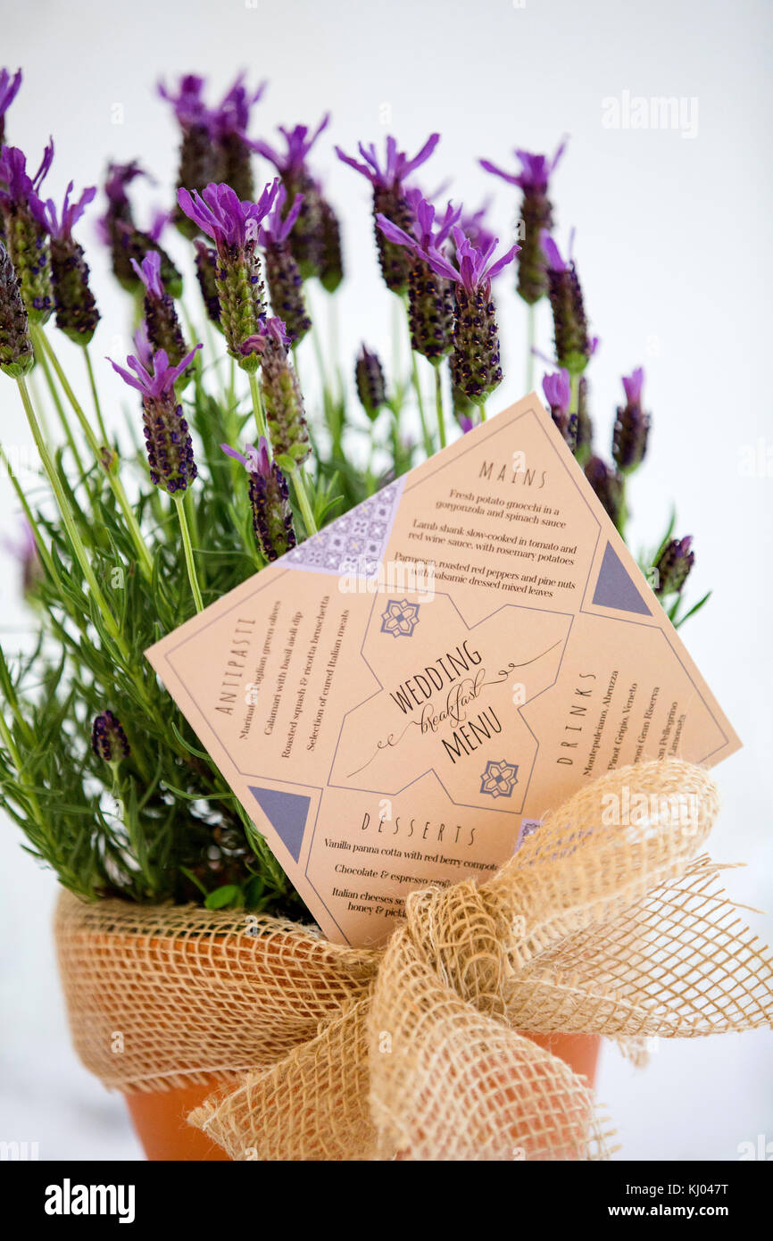 Close up of wedding menu in lavender plant pot, still life Stock Photo -  Alamy, image size:866x1390