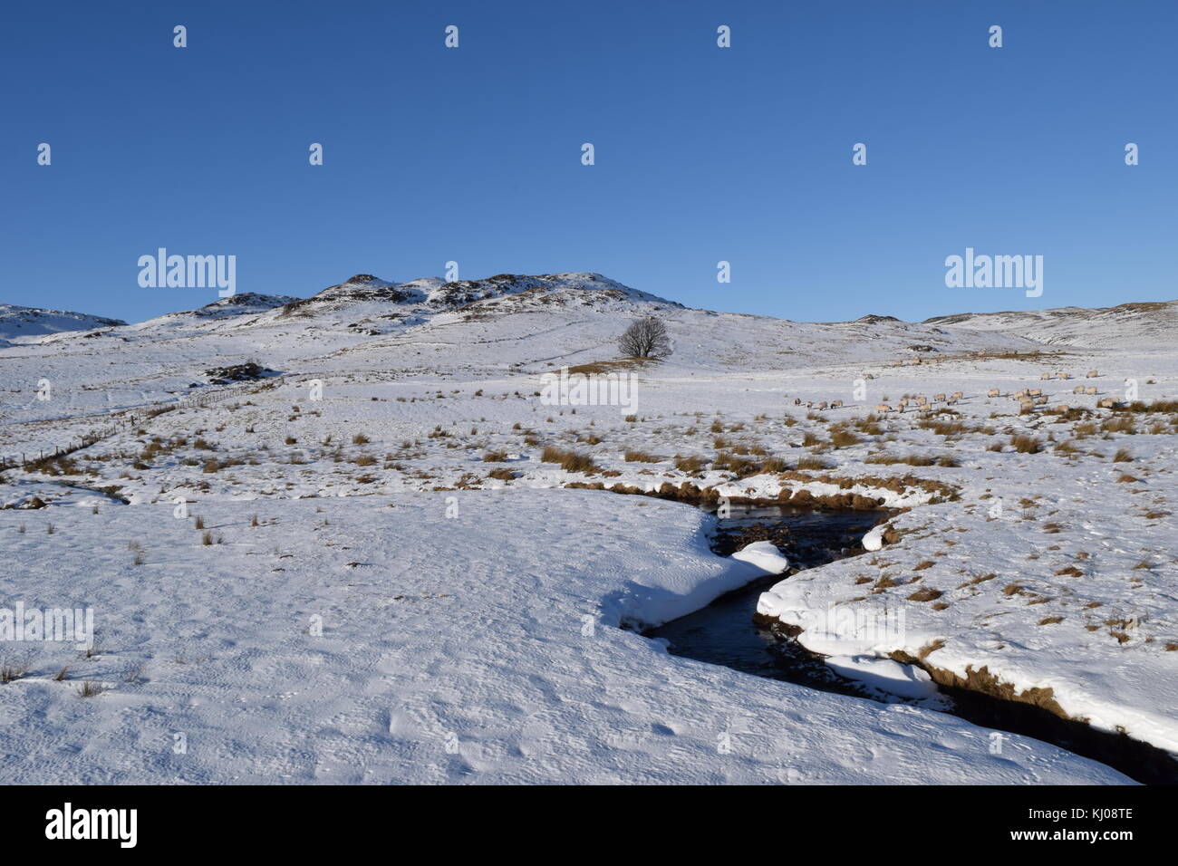 Perth Snow Snow scene in Perthshire Stock Photo - Alamy